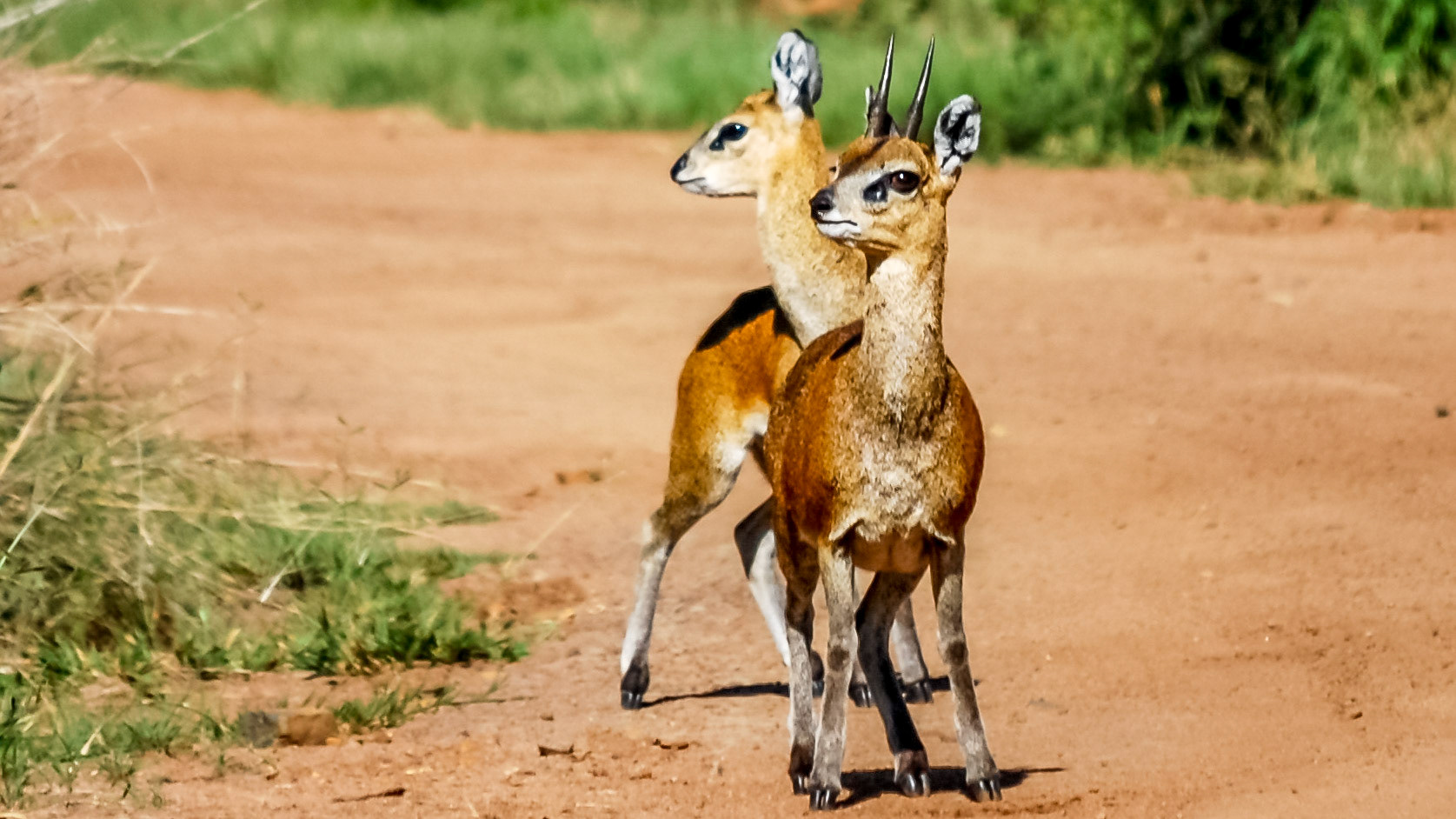 Photo by: Peter Liakopoulos Photography (www.peterliakopoulosphotography.com)