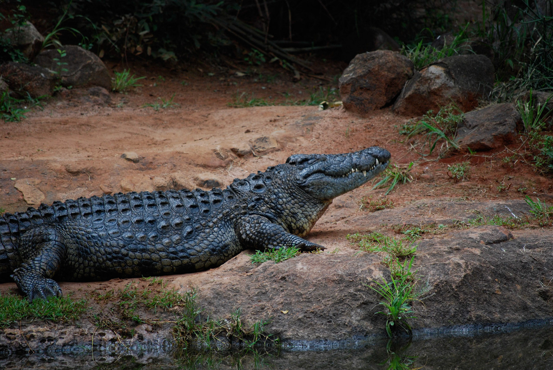 Photo by: Peter Liakopoulos Photography (www.peterliakopoulosphotography.com)