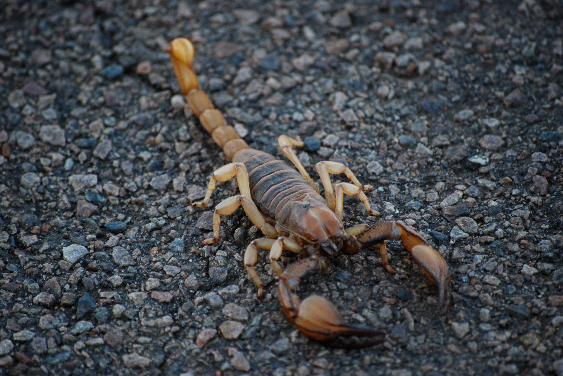 Photo by: Peter Liakopoulos Photography (www.peterliakopoulosphotography.com)