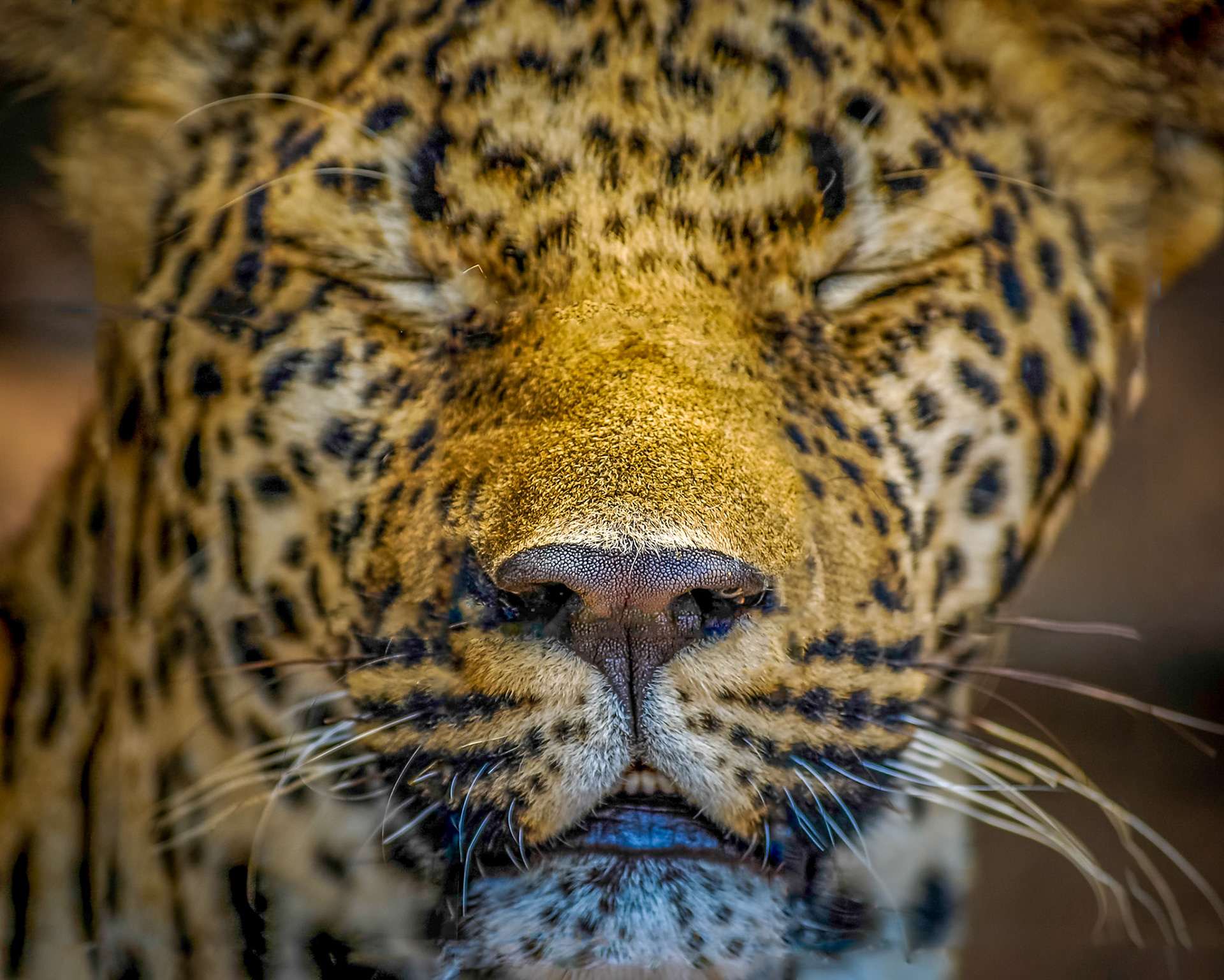 Photo by: Peter Liakopoulos Photography (www.peterliakopoulosphotography.com)