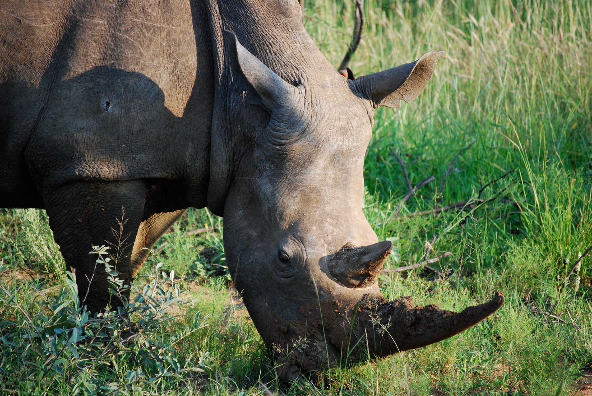 Photo by: Peter Liakopoulos Photography (www.peterliakopoulosphotography.com)