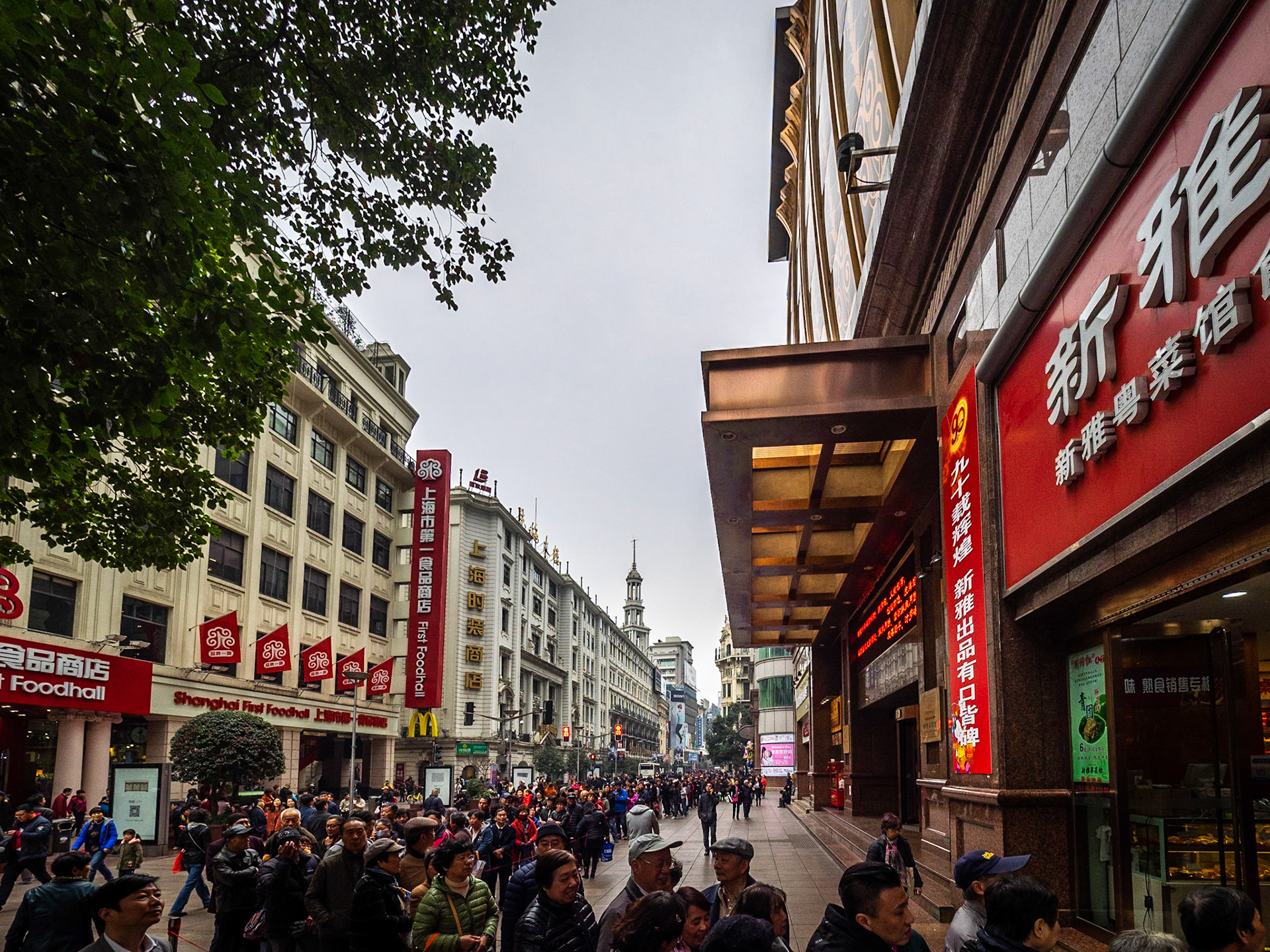 Photo by: Peter Liakopoulos Photography (www.peterliakopoulosphotography.com)