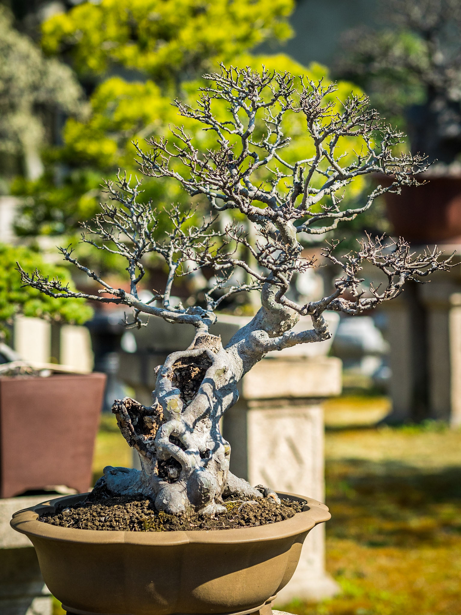 Photo by: Peter Liakopoulos Photography (www.peterliakopoulosphotography.com)