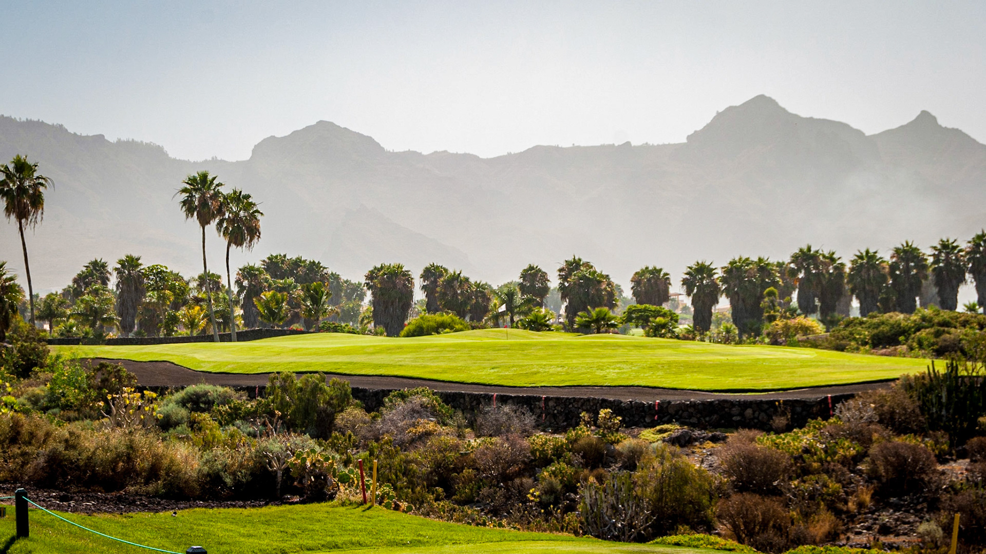 Photo by: Peter Liakopoulos Photography (www.peterliakopoulosphotography.com)