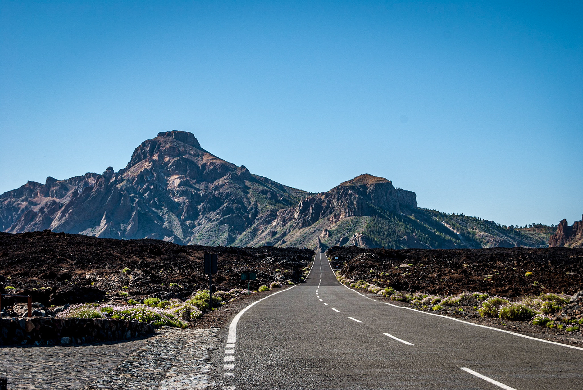 Photo by: Peter Liakopoulos Photography (www.peterliakopoulosphotography.com)