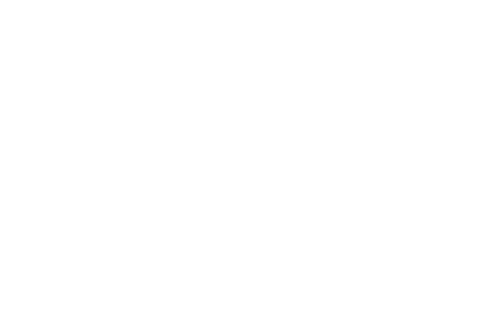 neta vagshal