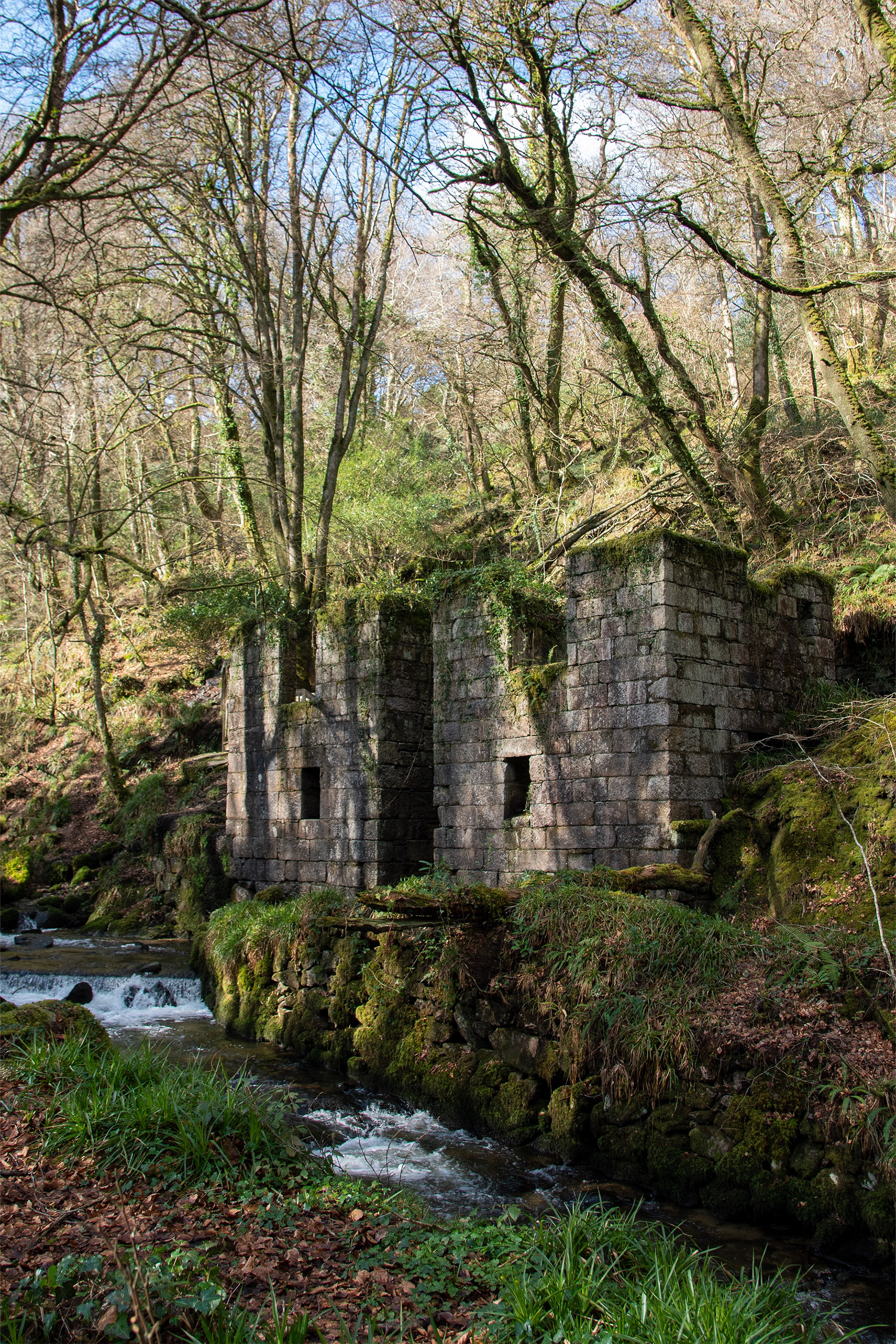 Fort