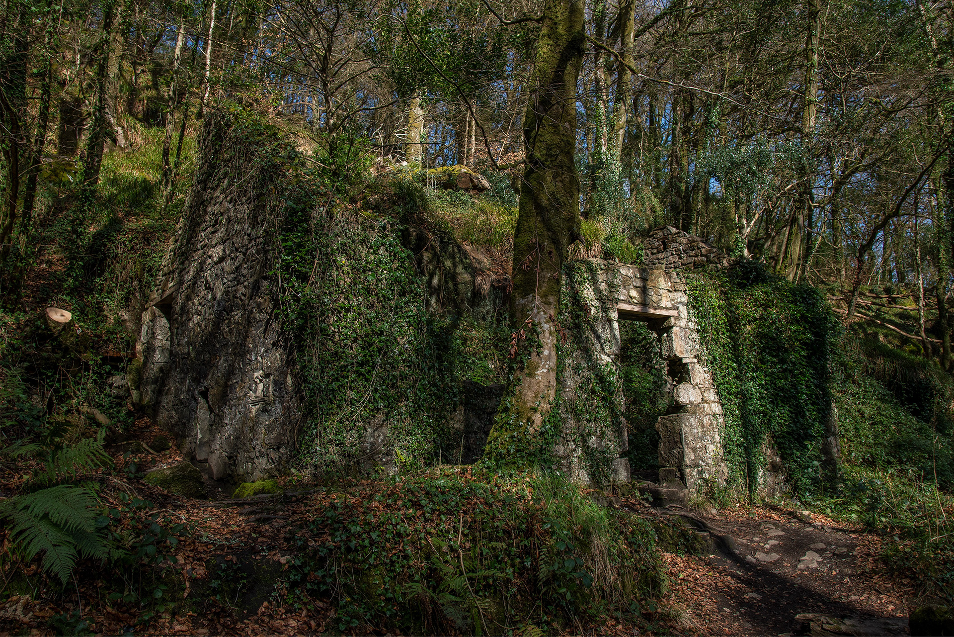 Enchanted House