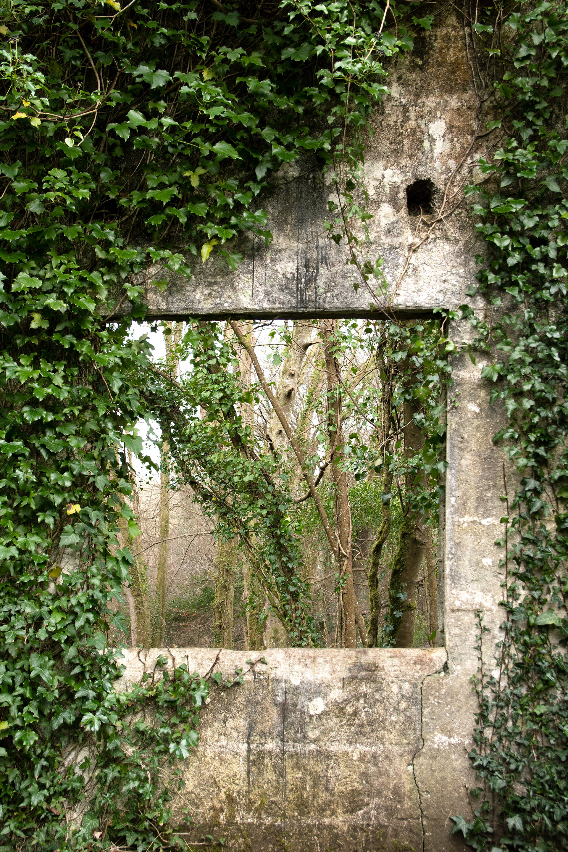Thought the Frame