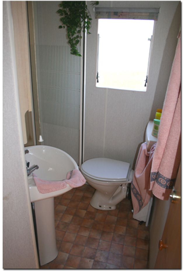 Salle de bain avec lavabo et douche ainsi que wc