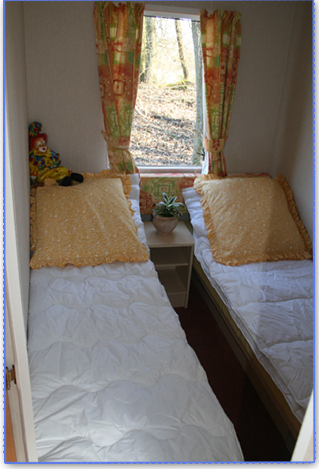 chambre avec 2 lits jumeaux