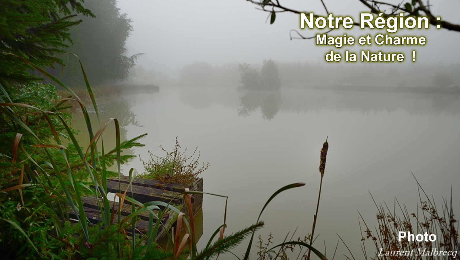 Pays de forêts, de lacs, d'eaux vives