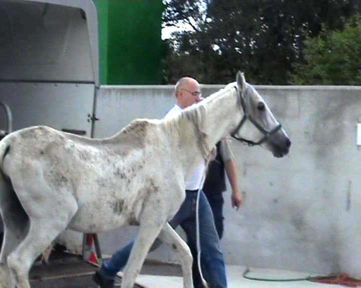 CESAR
