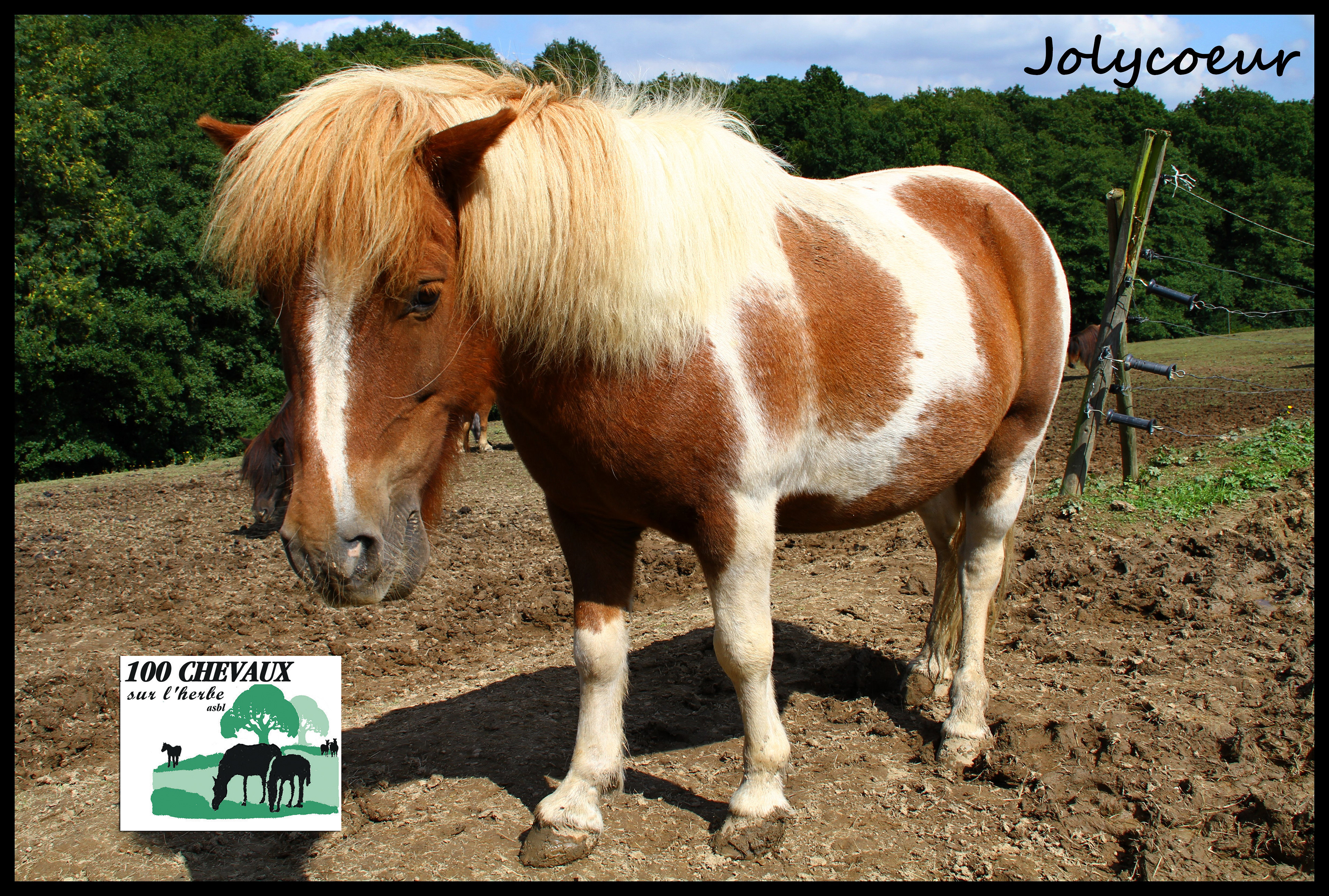 JOLYCOEUR