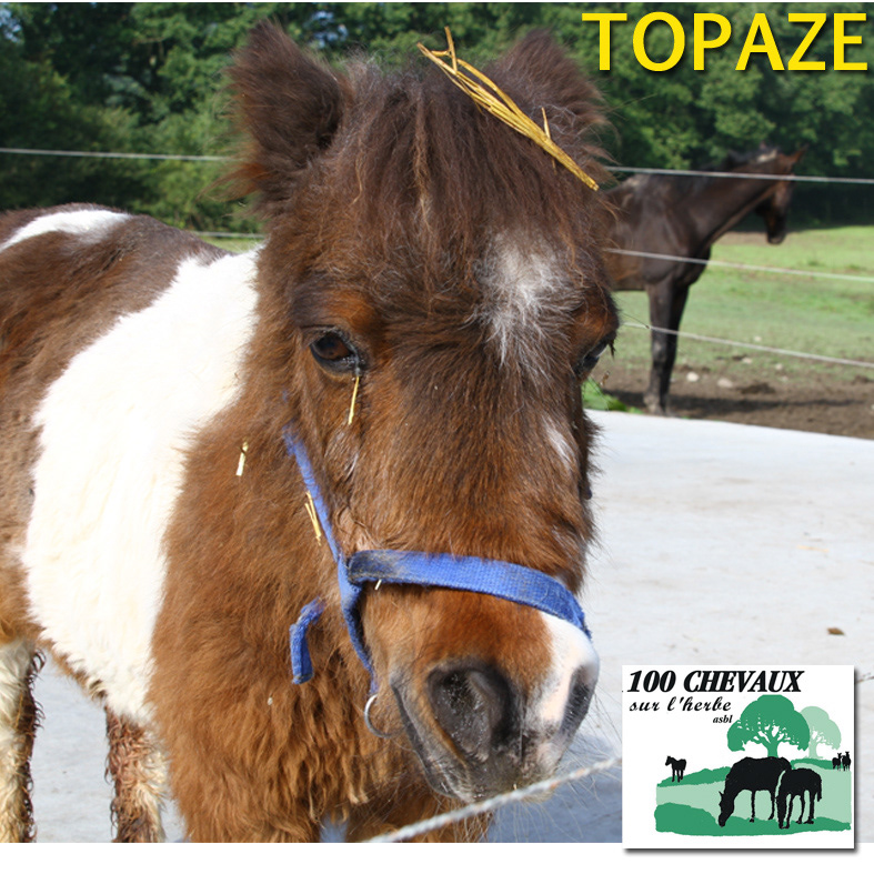 TOPAZE