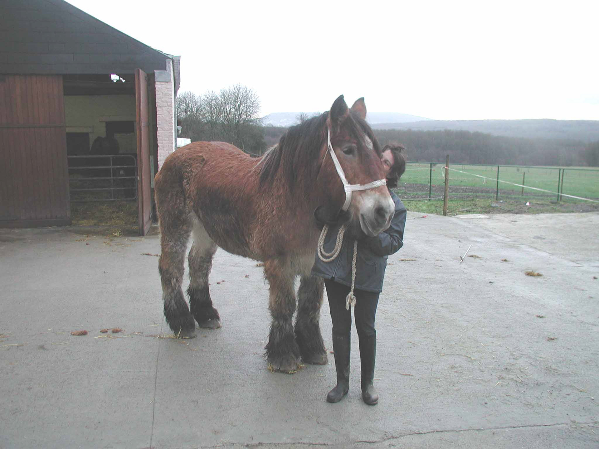 EPONA