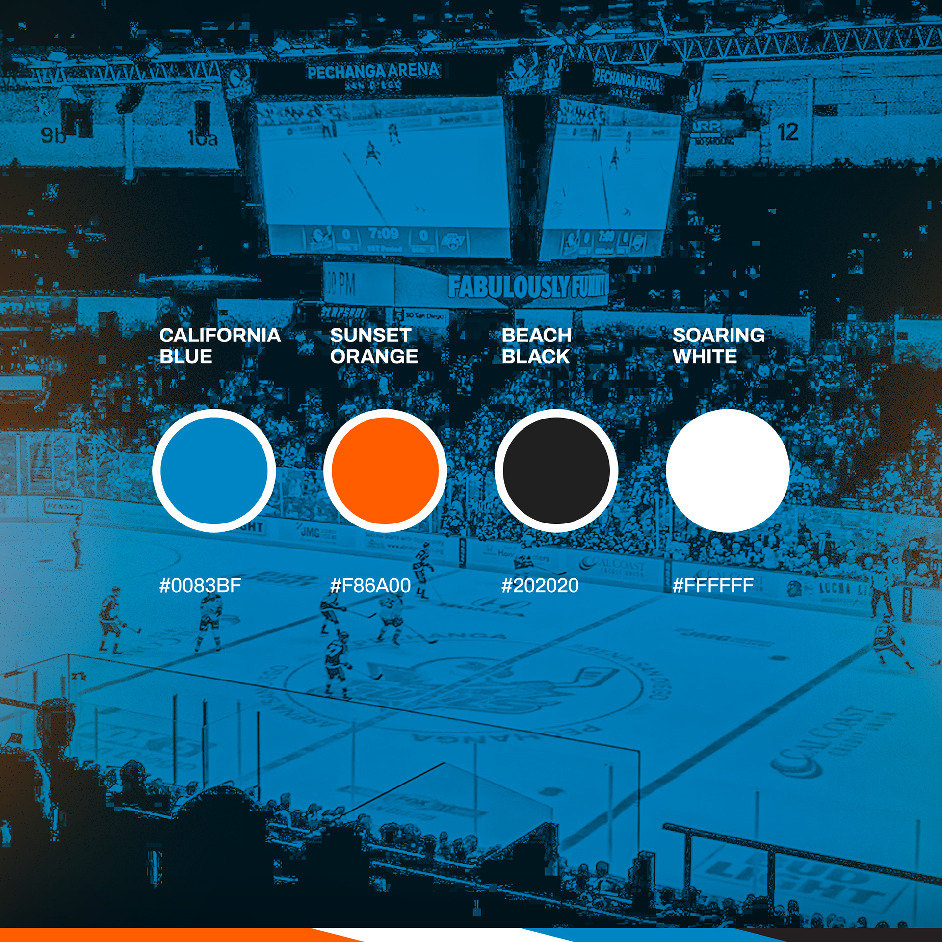 San Diego Gulls officially unveil uniforms! —