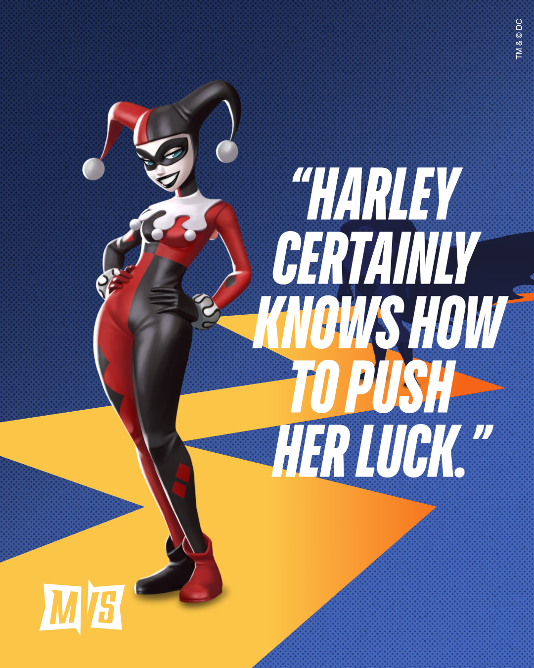Dynamic Duo Harley Screen