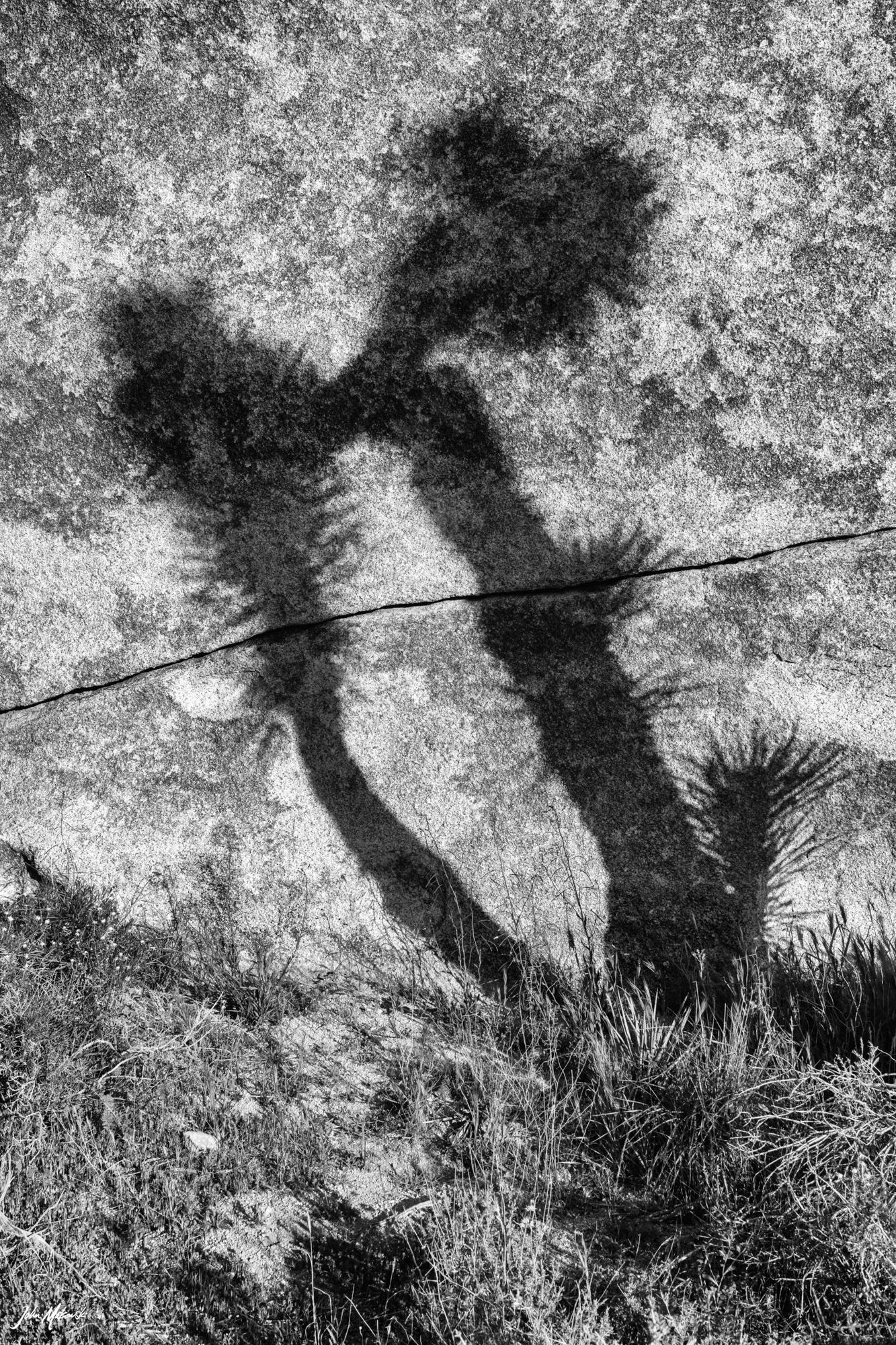 Hall of Horror, Joshua Tree National Park