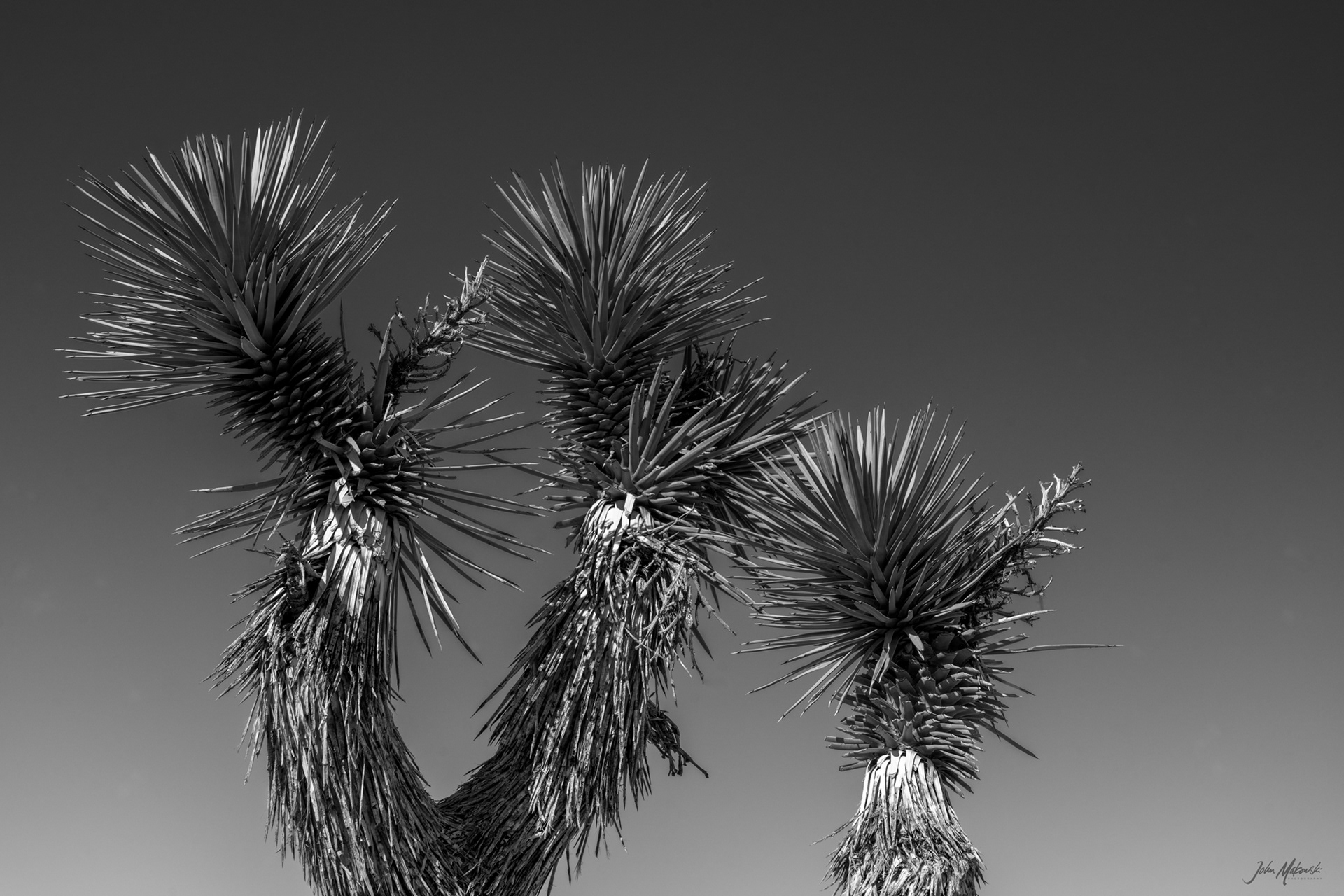 Arch Rock, Joshua Tree National Park
