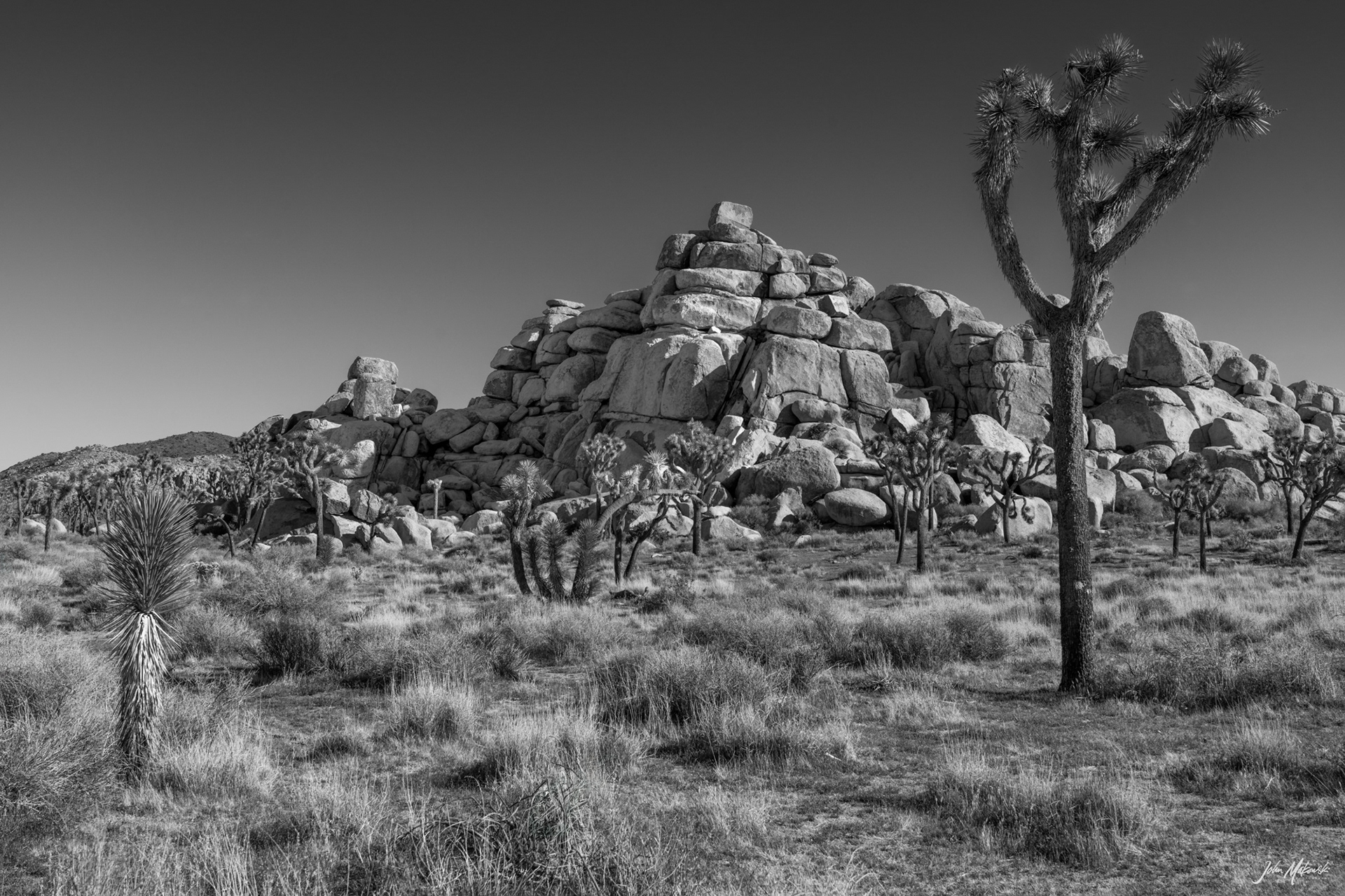 Cap Rock Loop, Joshua Tree National Park