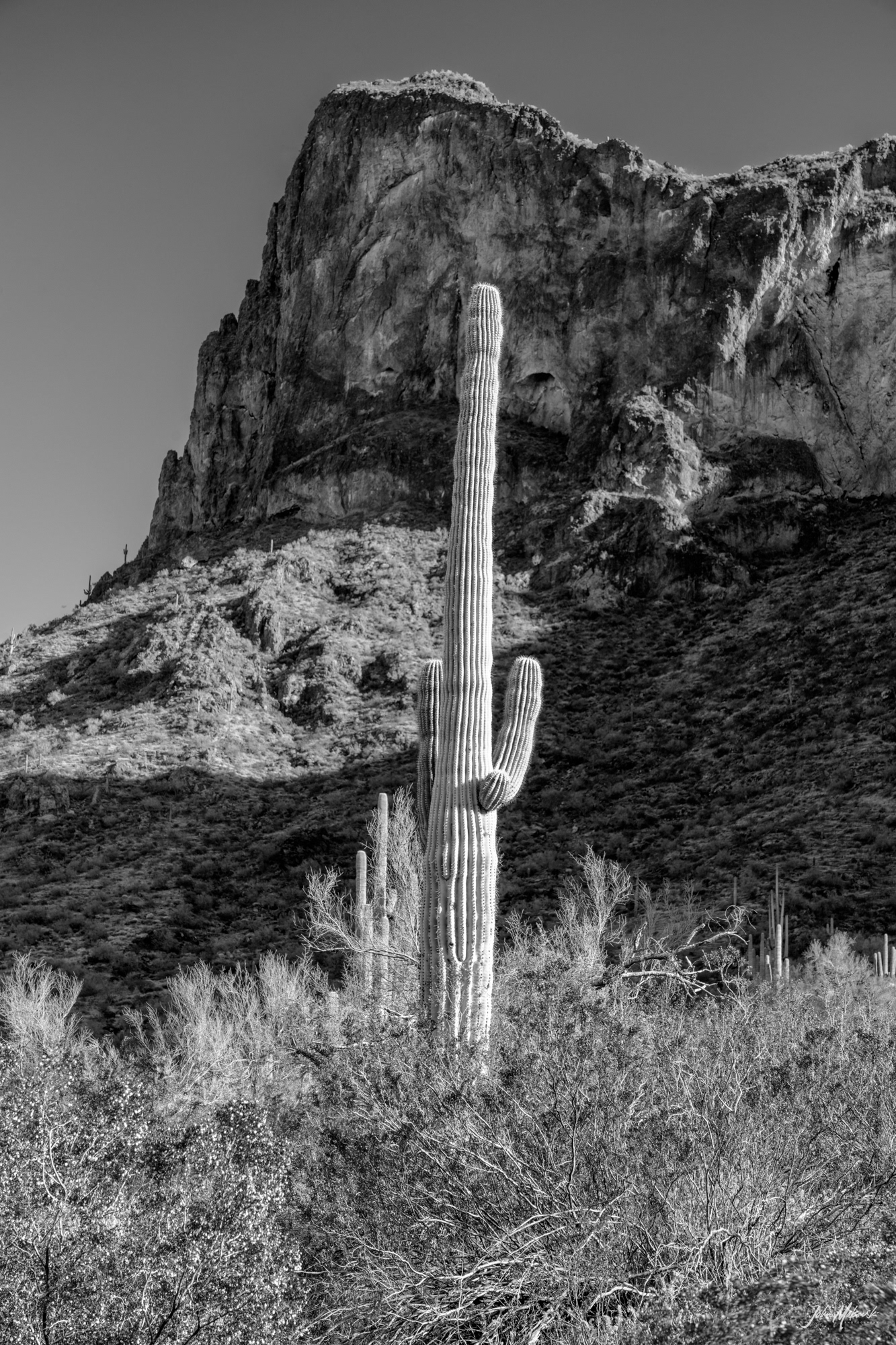 Picacho Peak State Park, Arizona