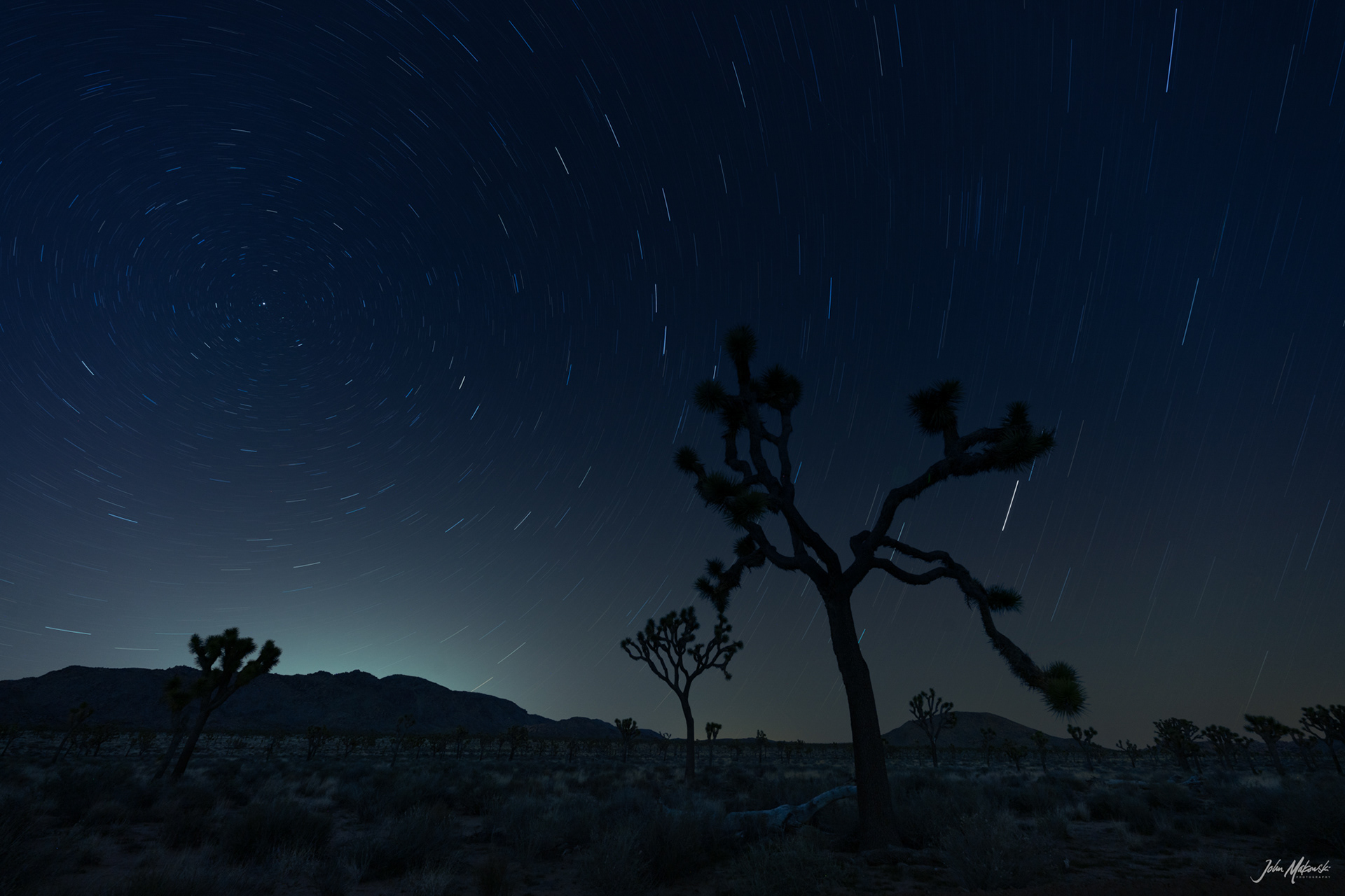 Bighorn Pass Road star trails, Joshua Tree National Park