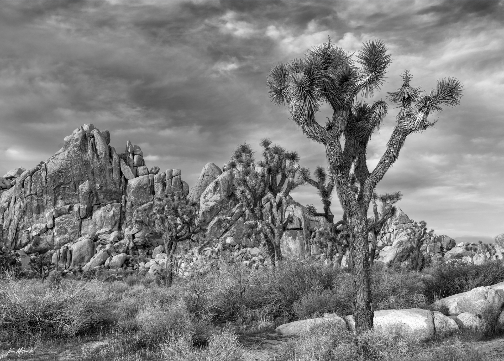 Hemingway, Joshua Tree National Park