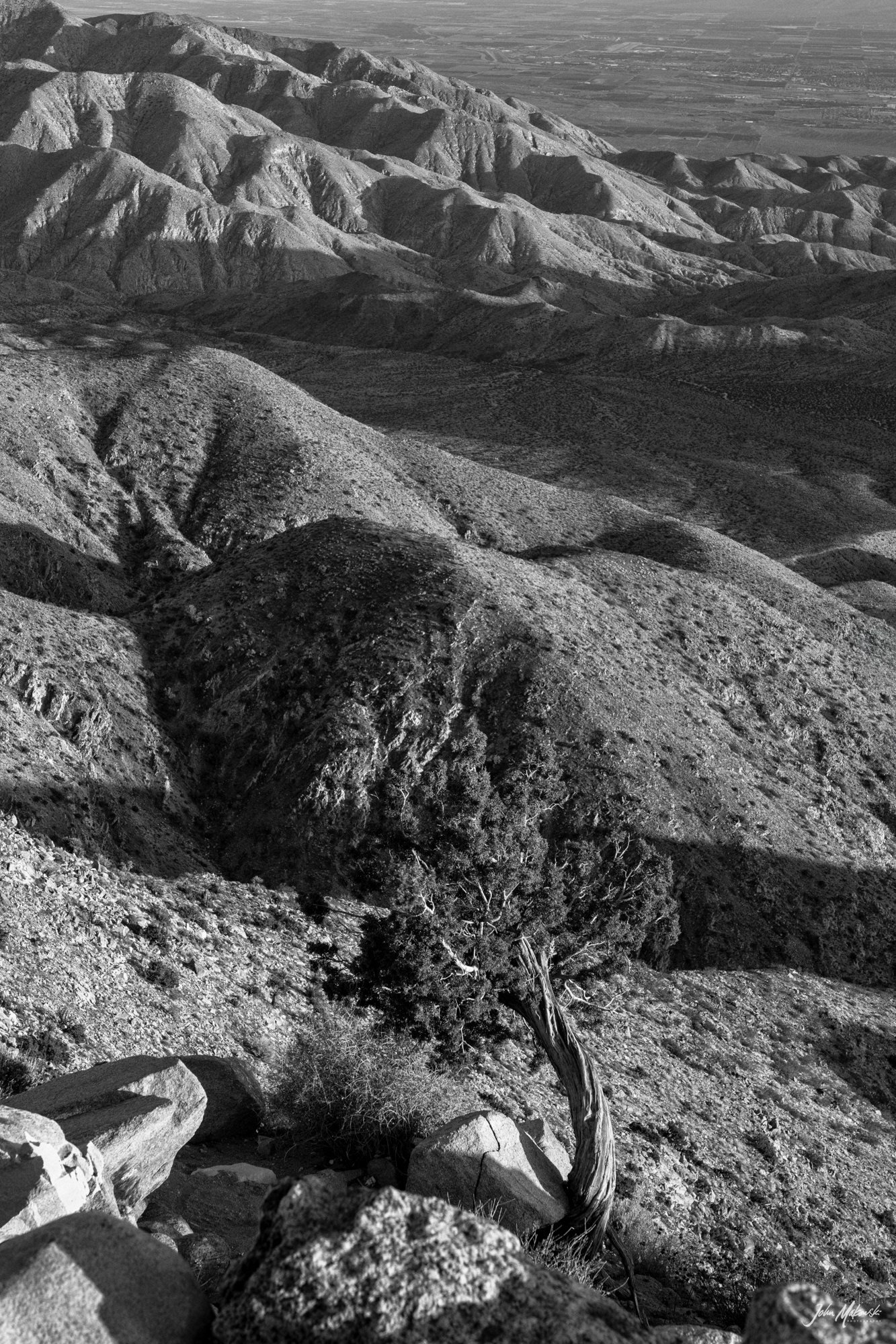 Keys View, Joshua Tree National Park