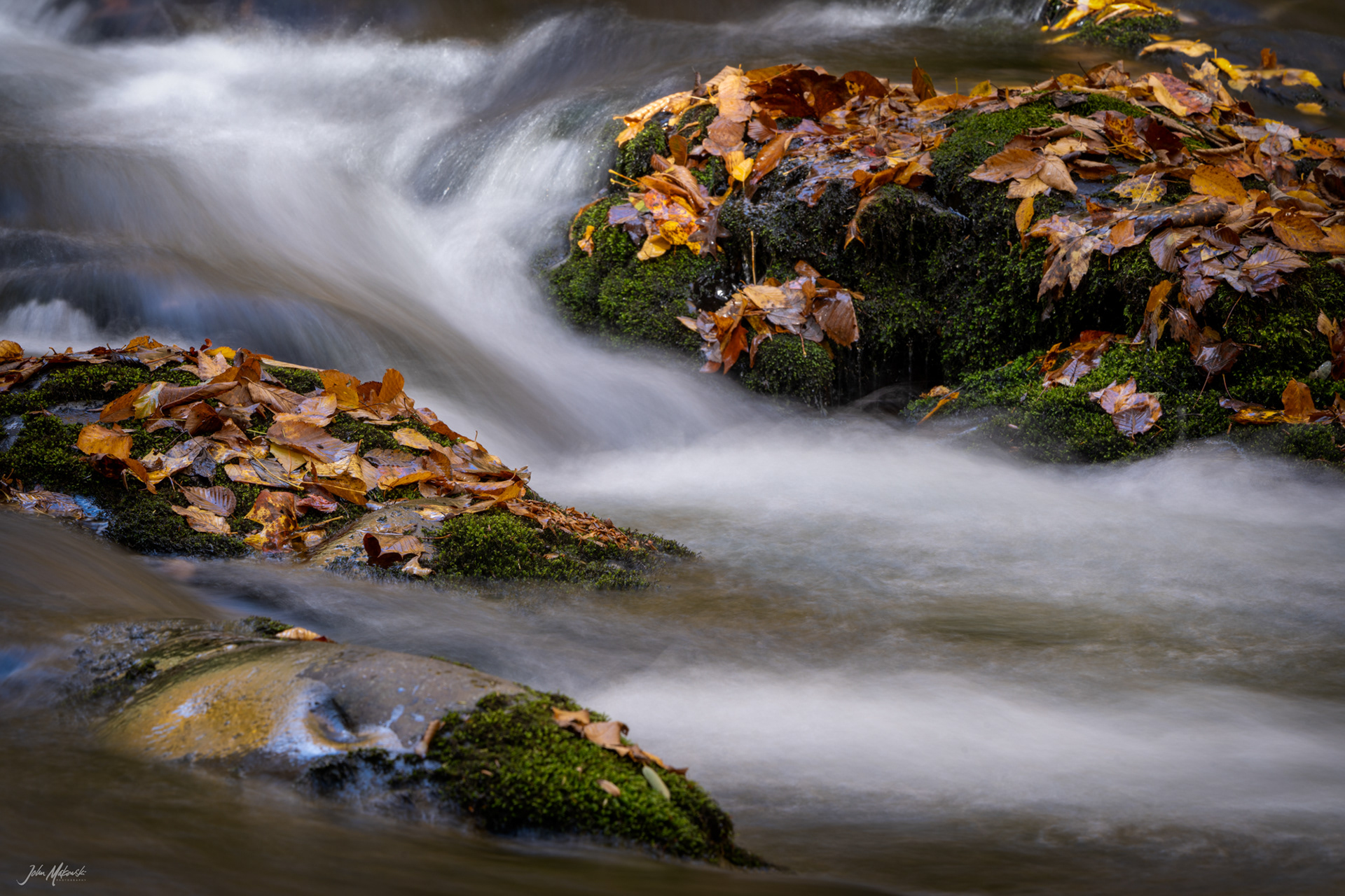 New Found Gap roadside creek, Great Smoky Mountains National Park