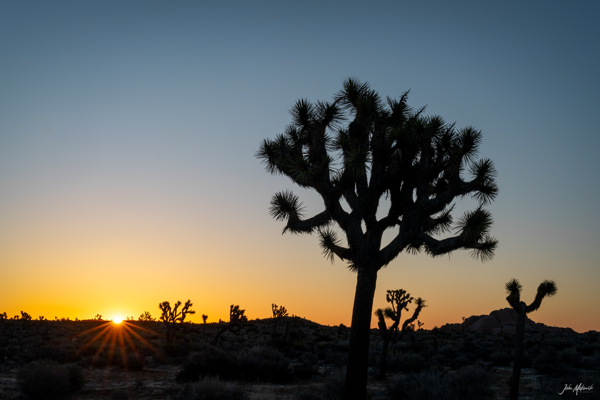 Pre-dawn on Geology Tour Road, Joshua Tree National Park
