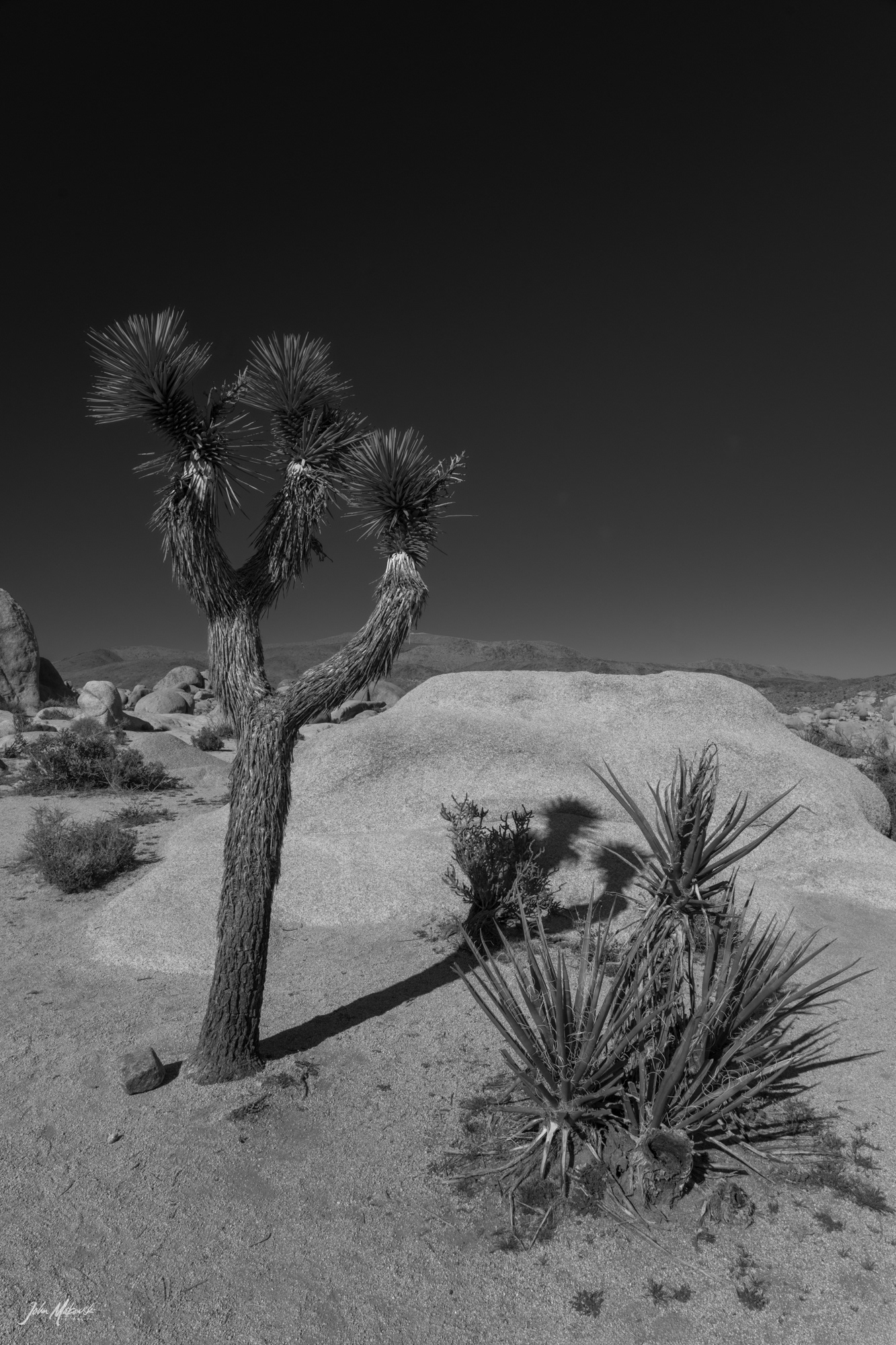 Arch Rock, Joshua Tree National Park