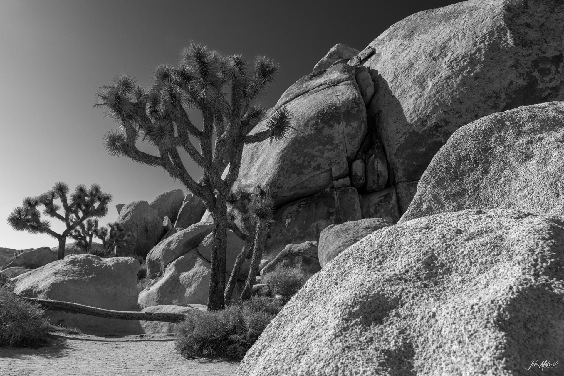 Cap Rock Loop, Joshua Tree National Park