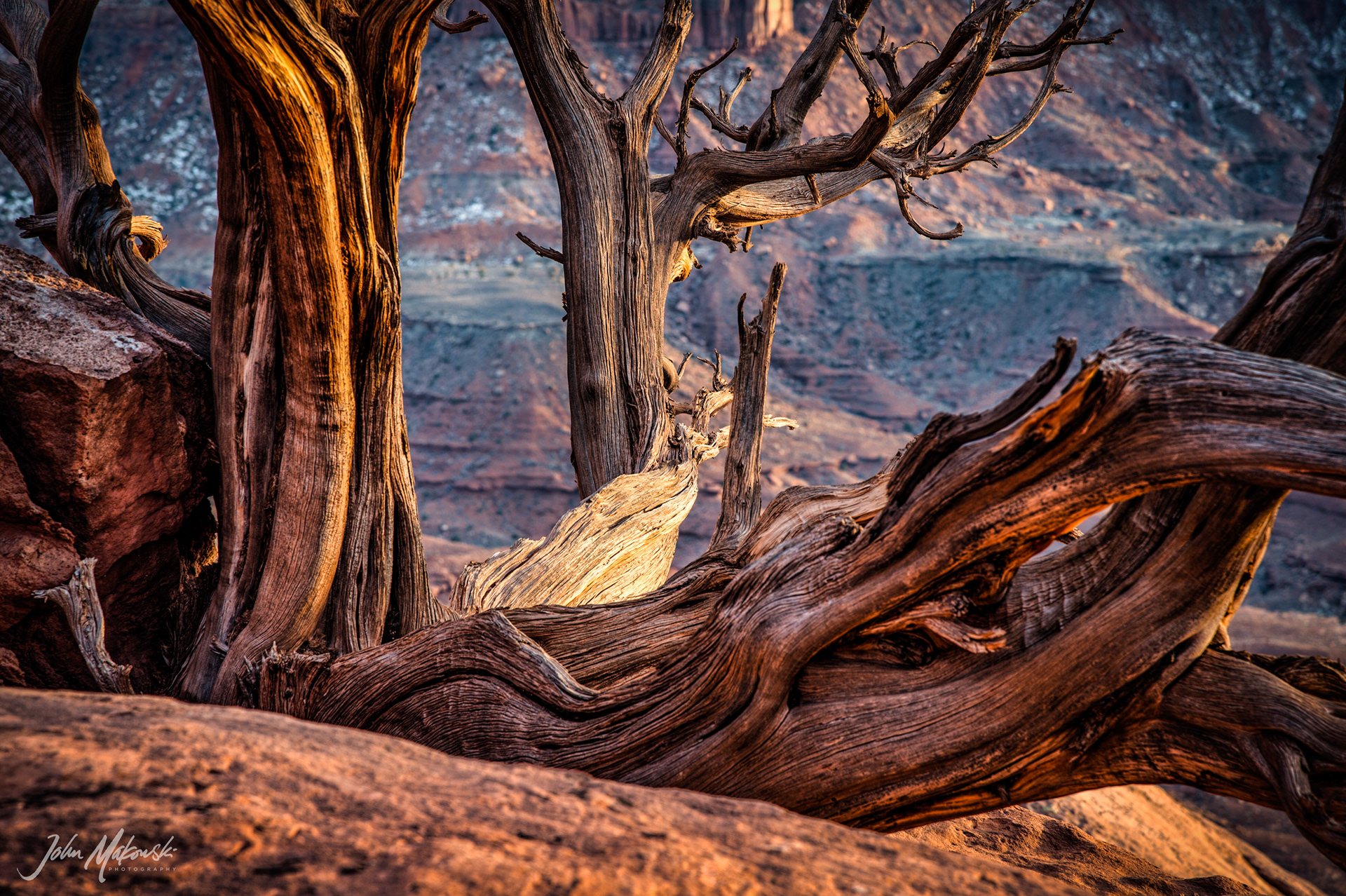 Green River Overlook, Canyonlands National Park, Utah
