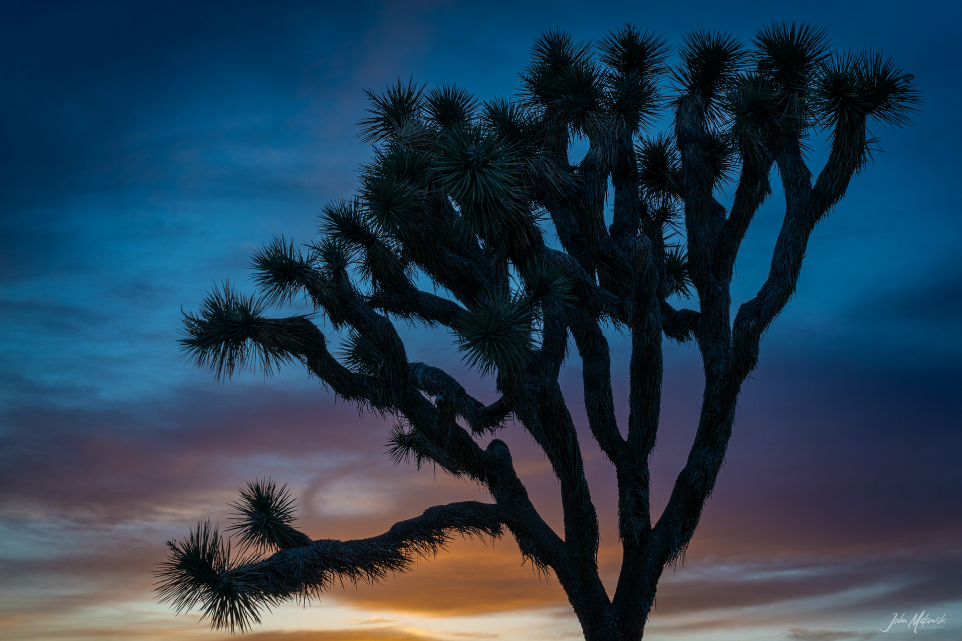 Hemingway sunset, Joshua Tree National Park