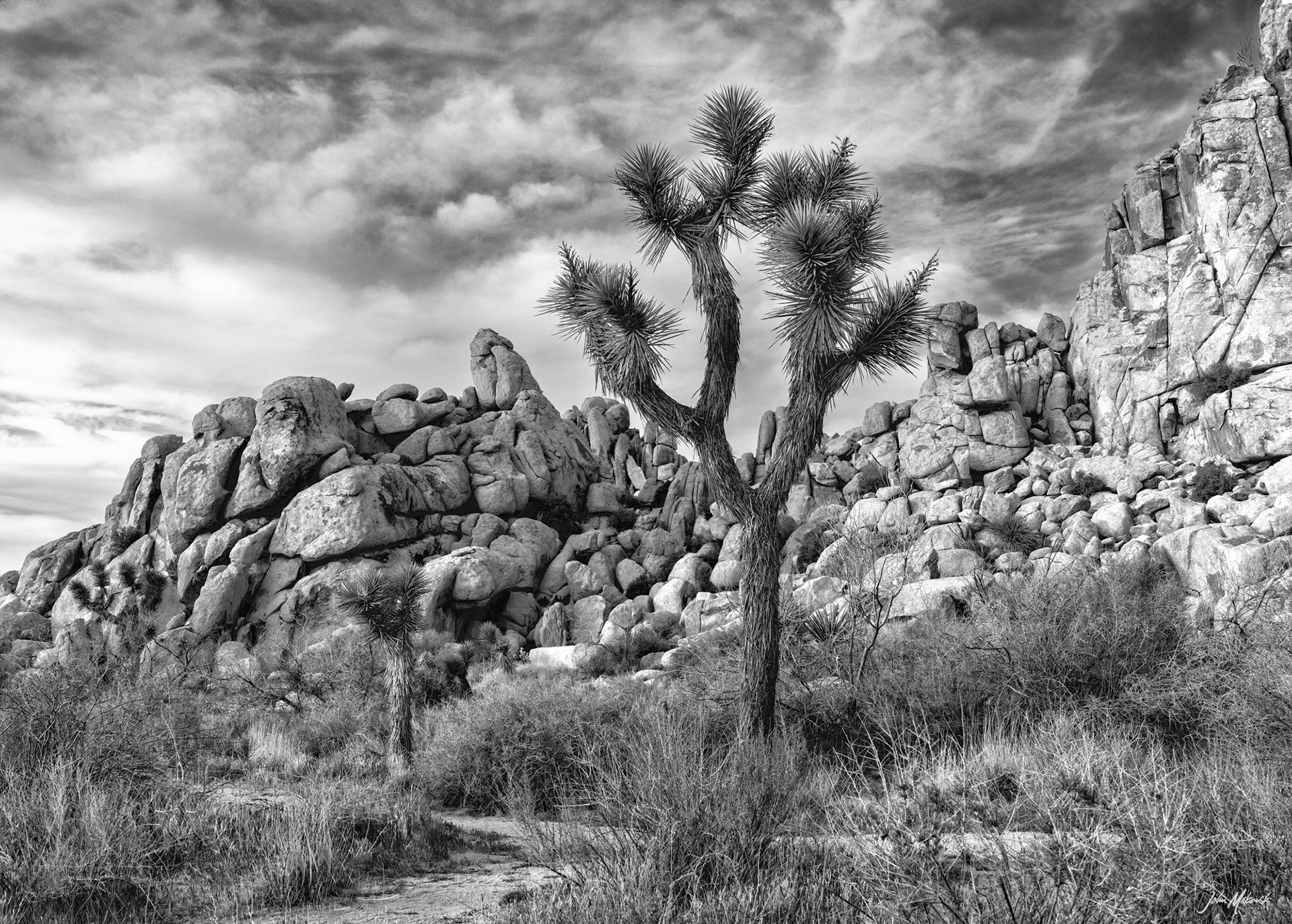Hemingway, Joshua Tree National Park