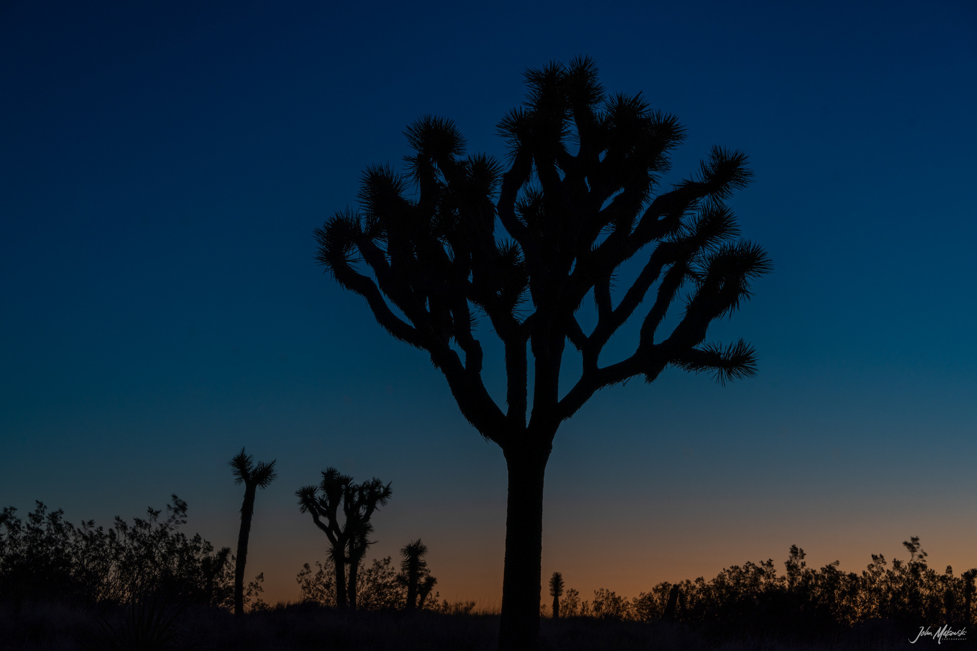 Pre-dawn on Geology Tour Road, Joshua Tree National Park