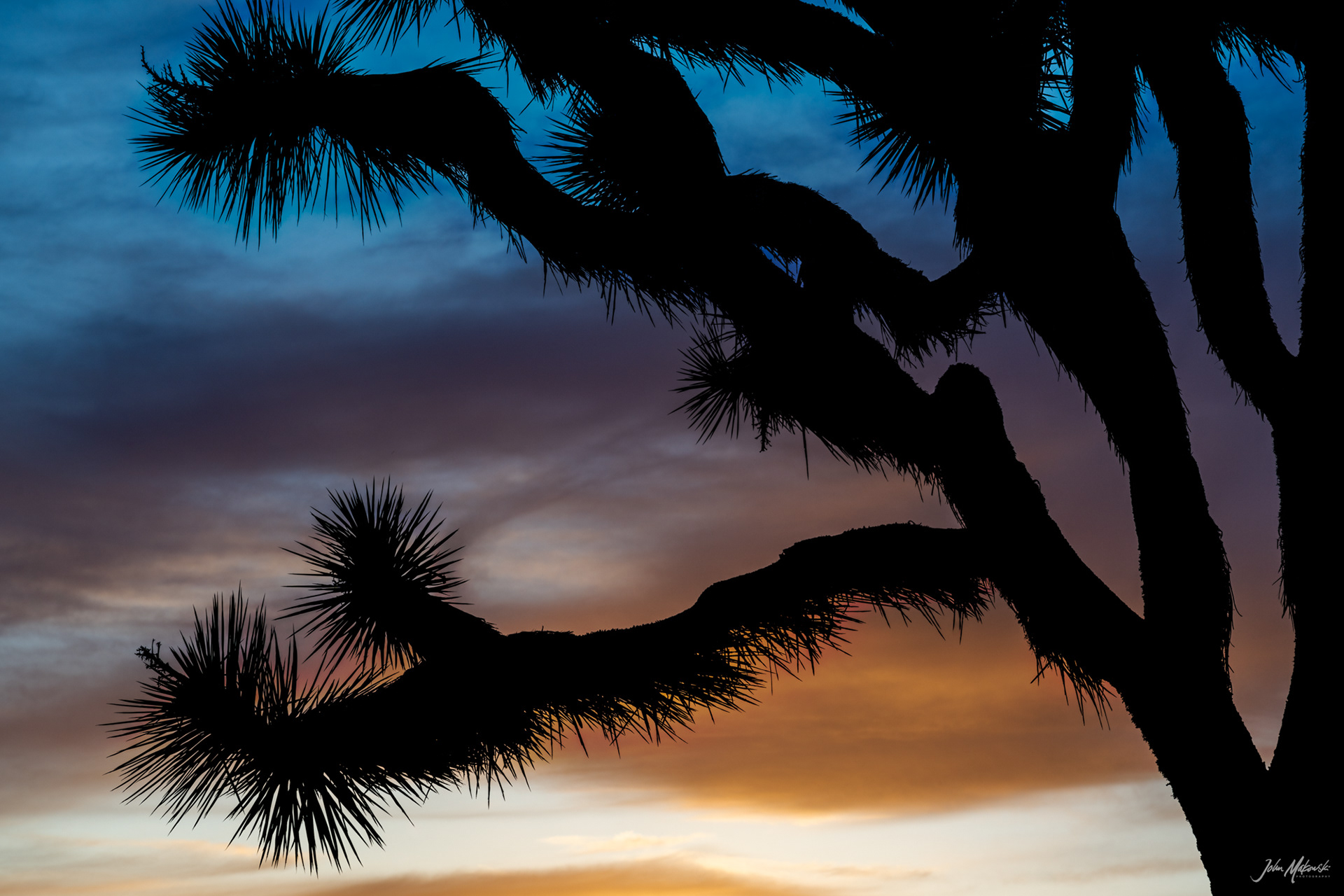 Hemingway sunset, Joshua Tree National Park