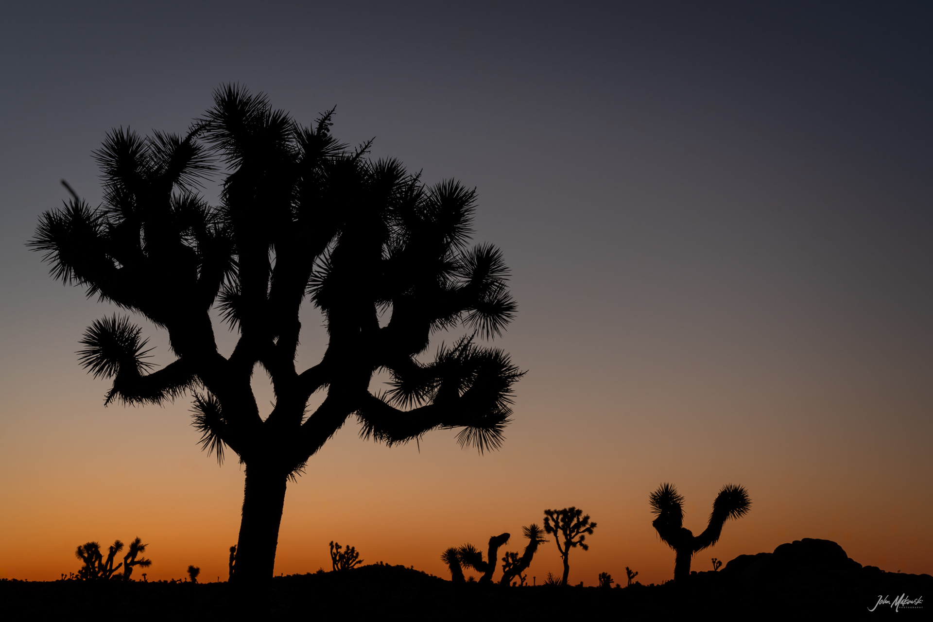 Pre-dawn on Geology Tour Road, Joshua Tree National Park