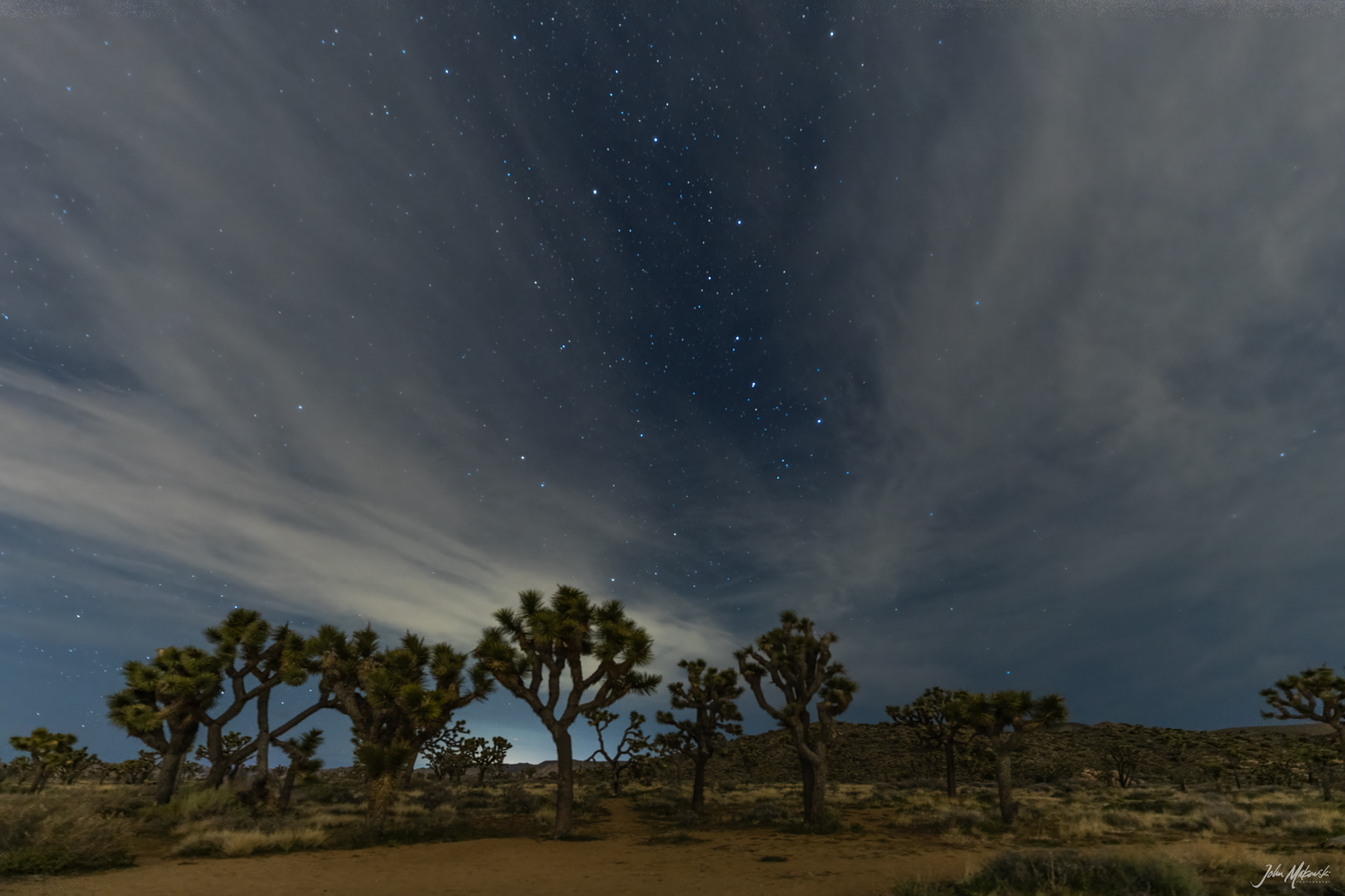 Night sky over Joshua Tree National Park