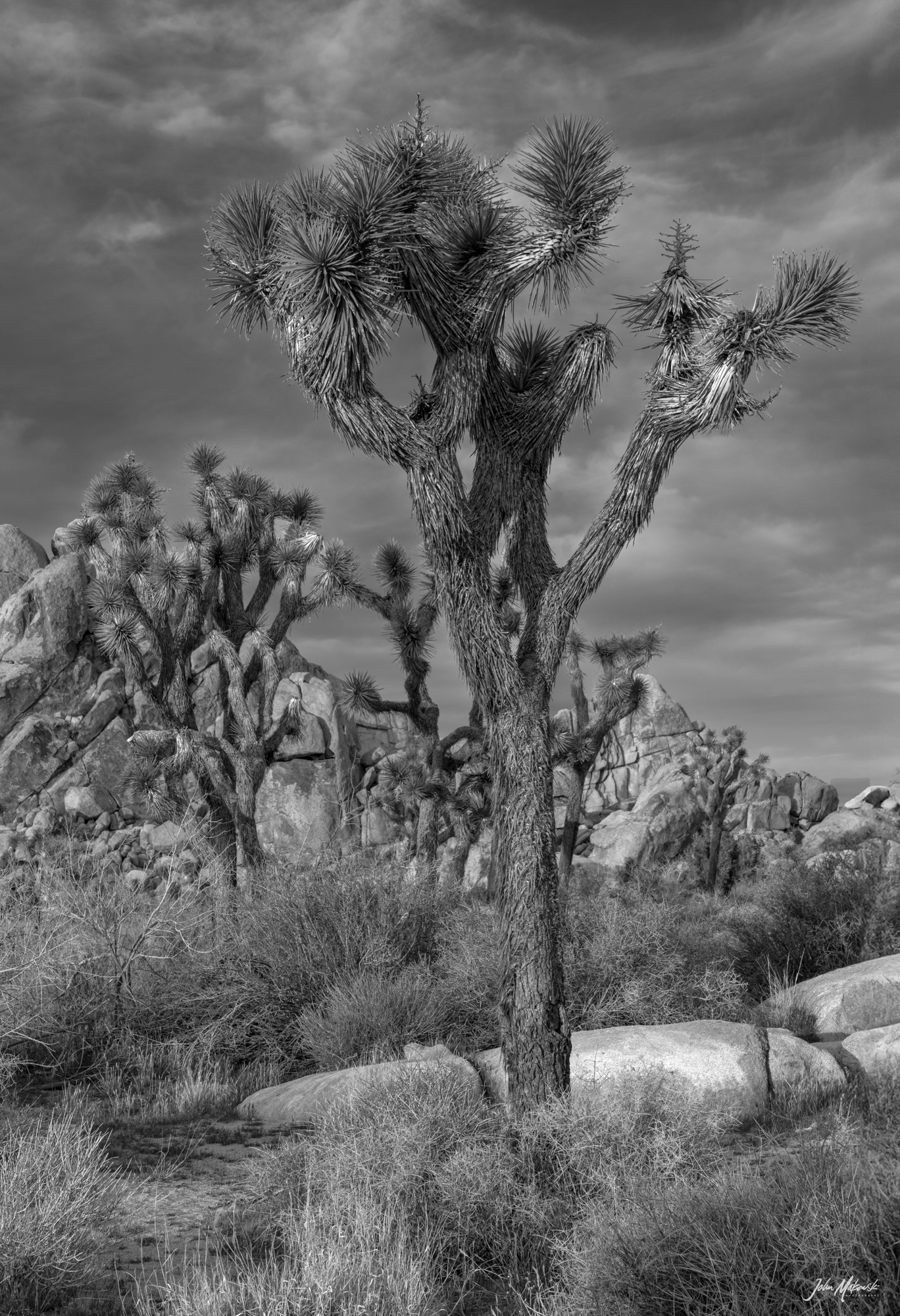 Hemingway, Joshua Tree National Park