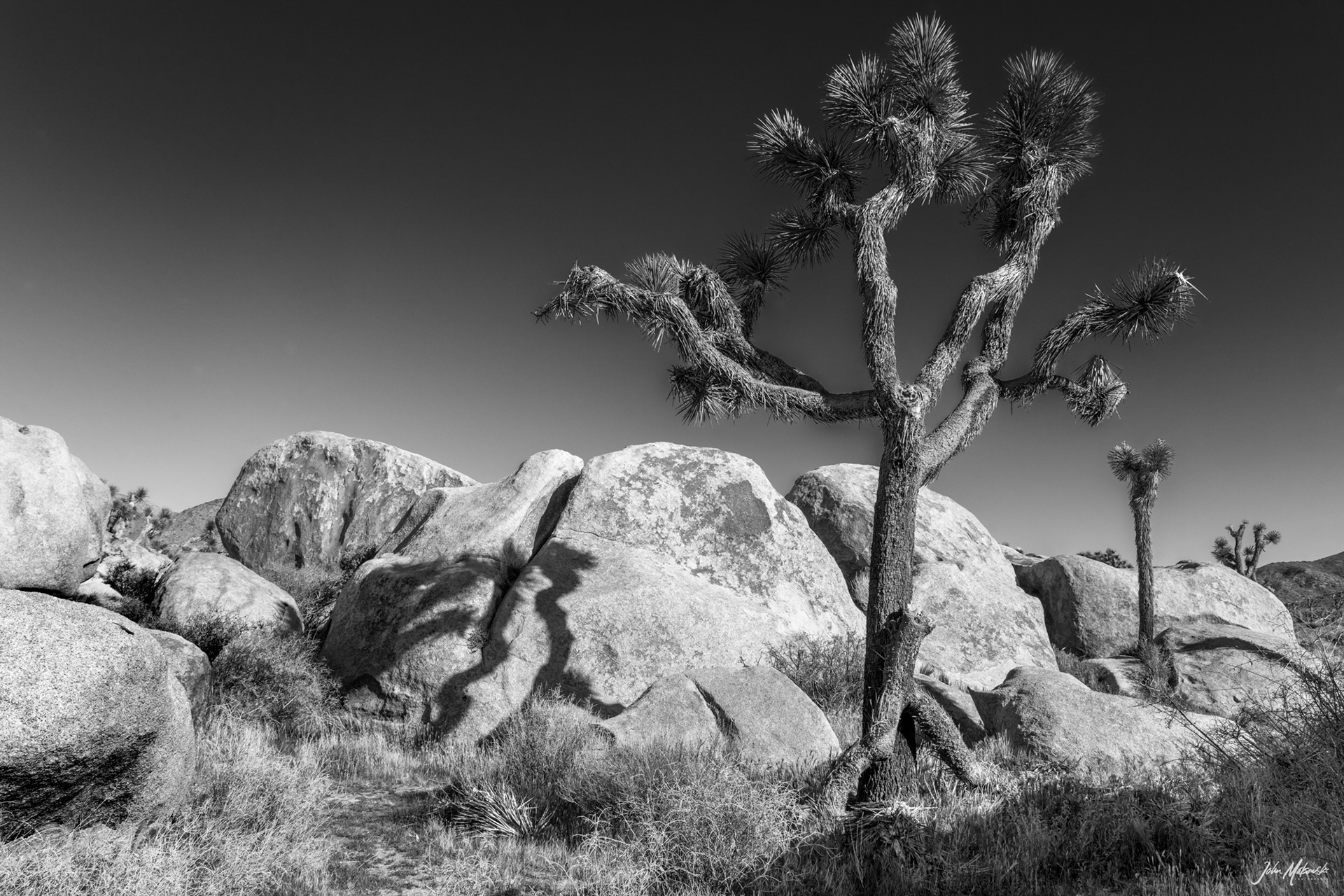 Cap Rock Loop, Joshua Tree National Park