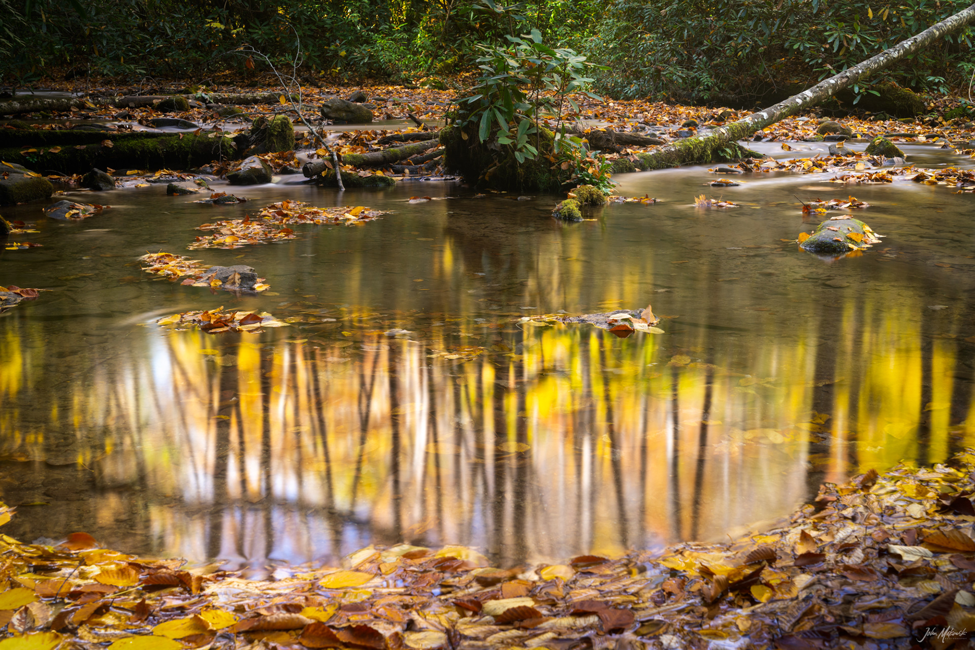 Mingus Mill Flume Pool, Great Smoky Mountains National Park
