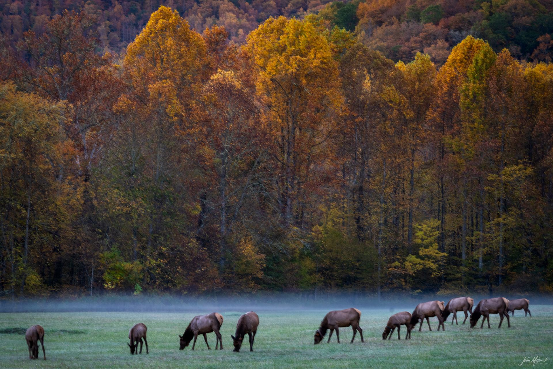 Sunrise at Oconaluftee Visitor Center, Great Smoky Mountains National Park
