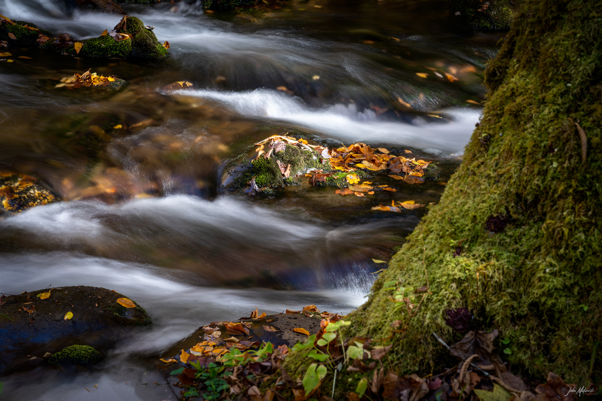 New Found Gap roadside creek, Great Smoky Mountains National Park