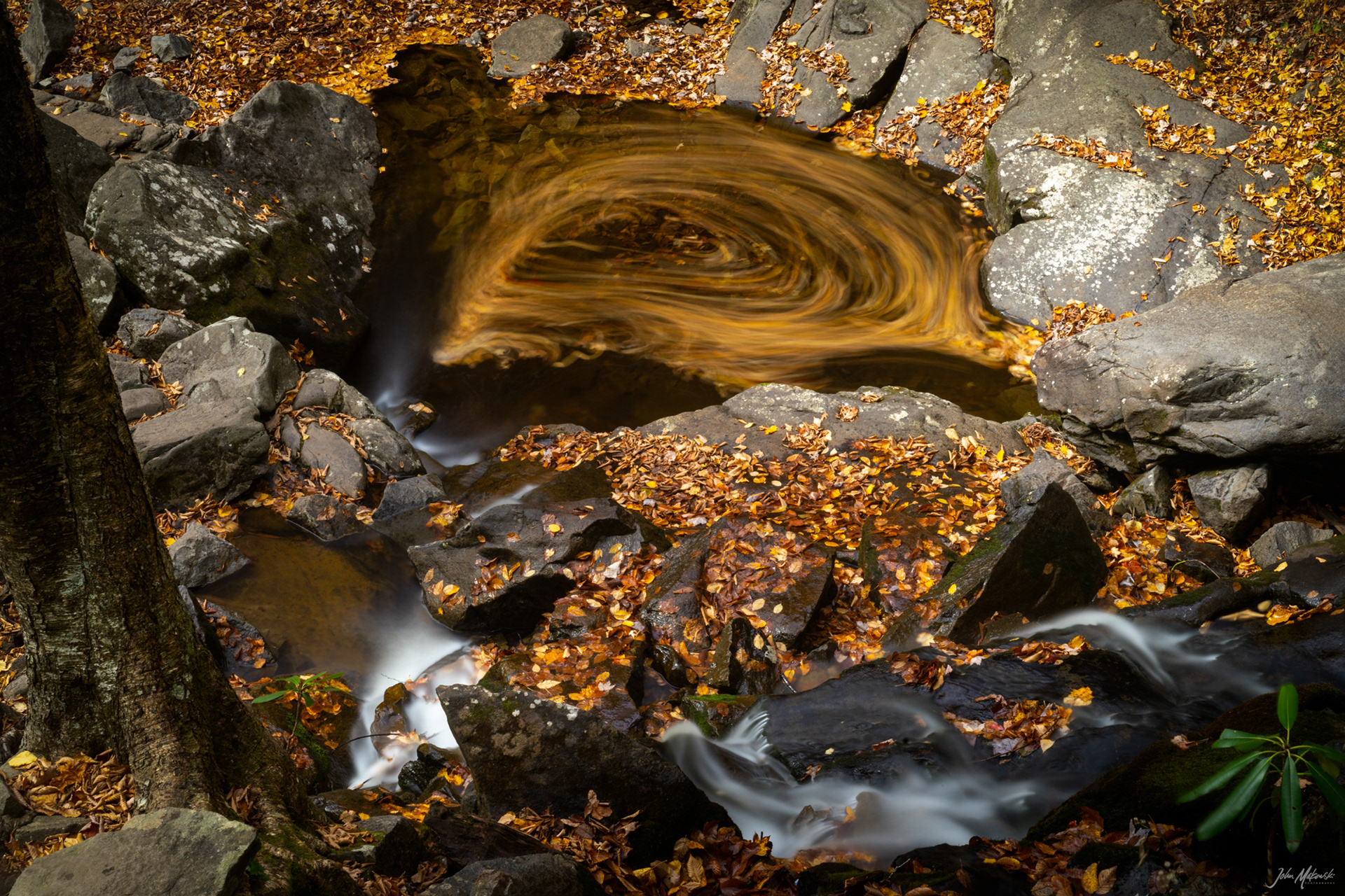 Tidal Pool at Laurel Falls, Great Smoky Mountains National Park