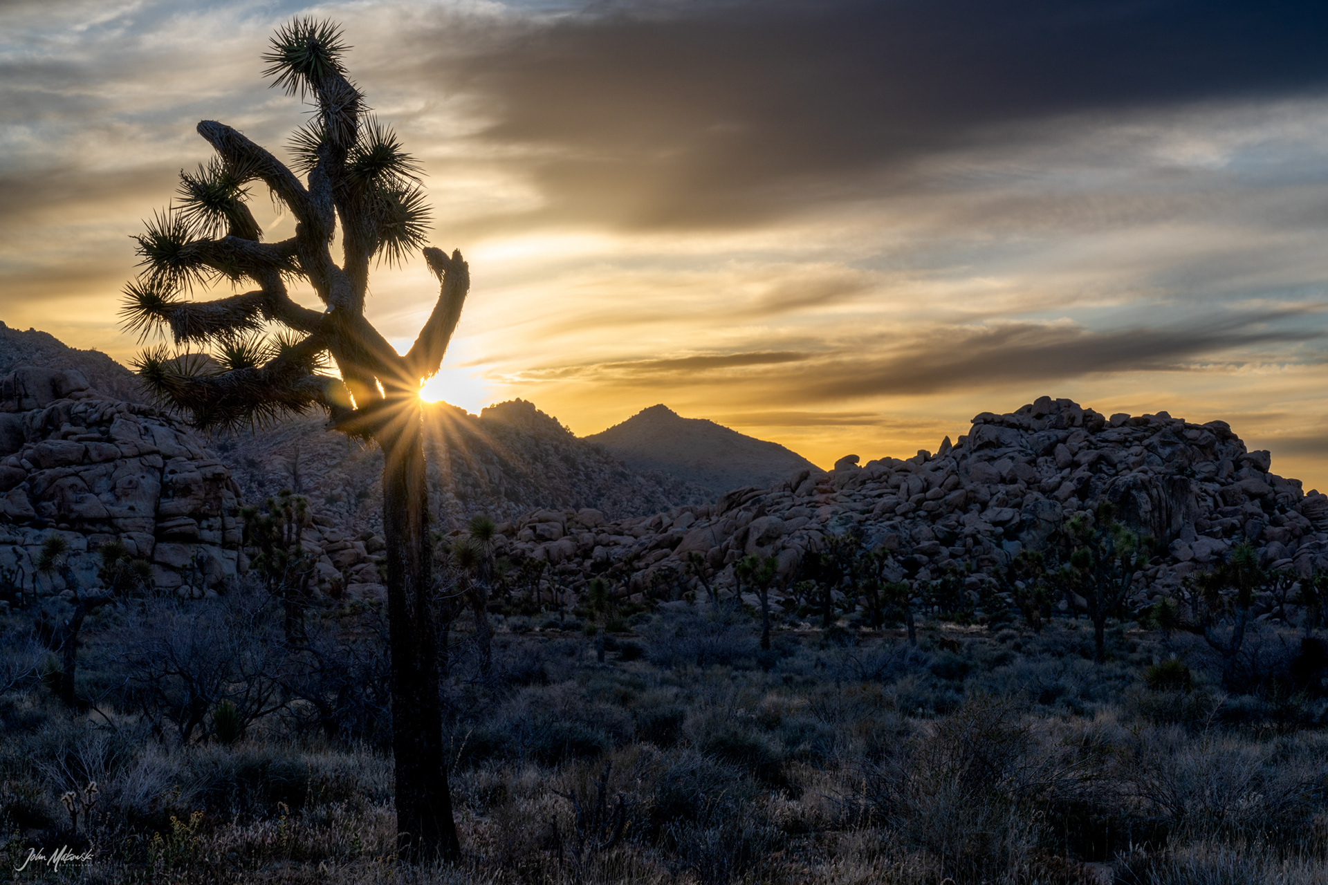 Hemingway sunset, Joshua Tree National Park