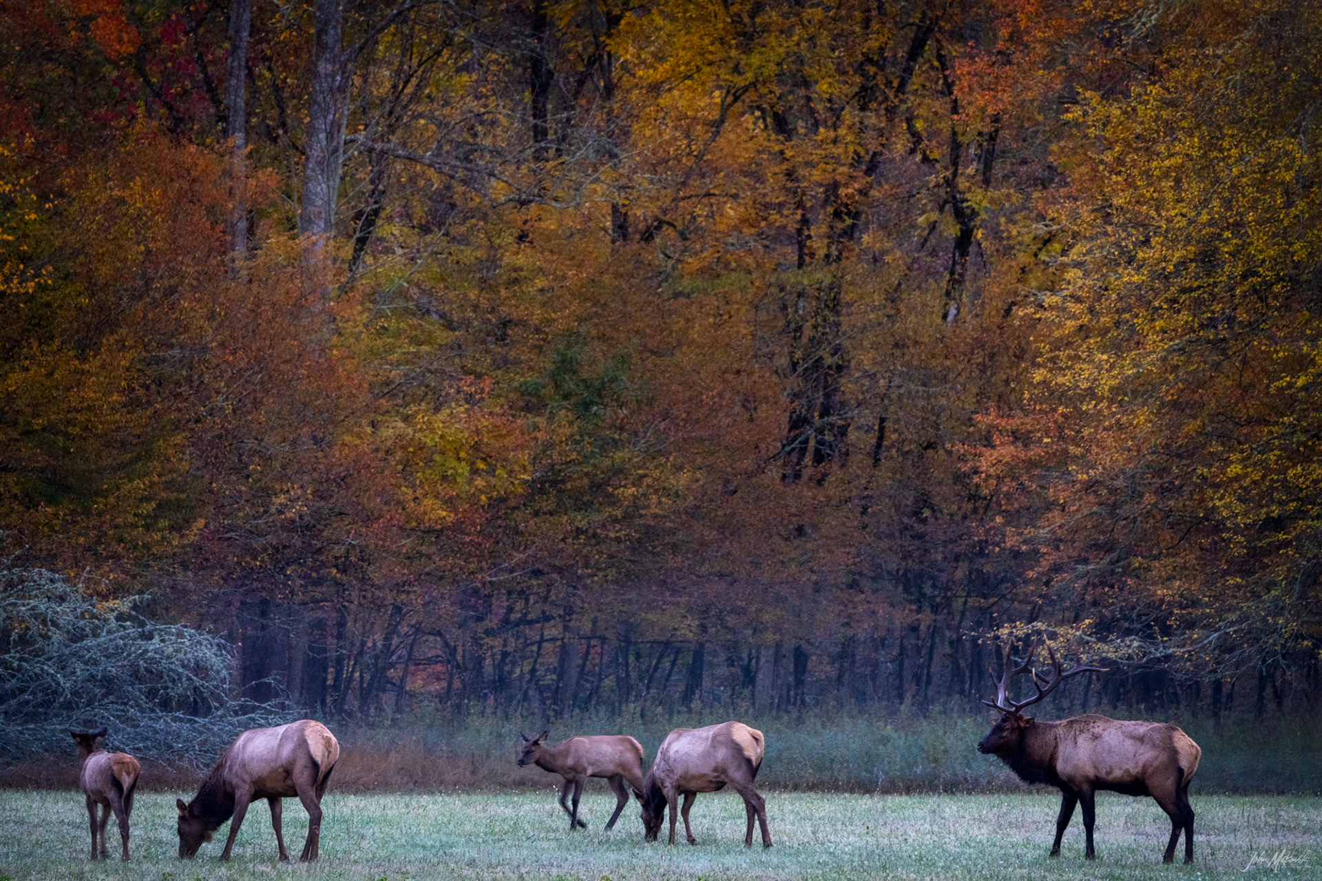 Sunrise at Oconaluftee Visitor Center, Great Smoky Mountains National Park