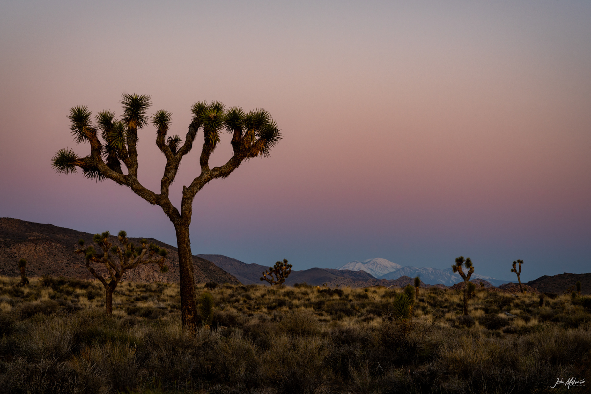 Pre-dawn on Geology Tour Road, Joshua Tree National Park