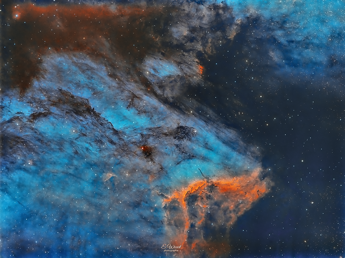 Le pélican_IC5070_LSHO